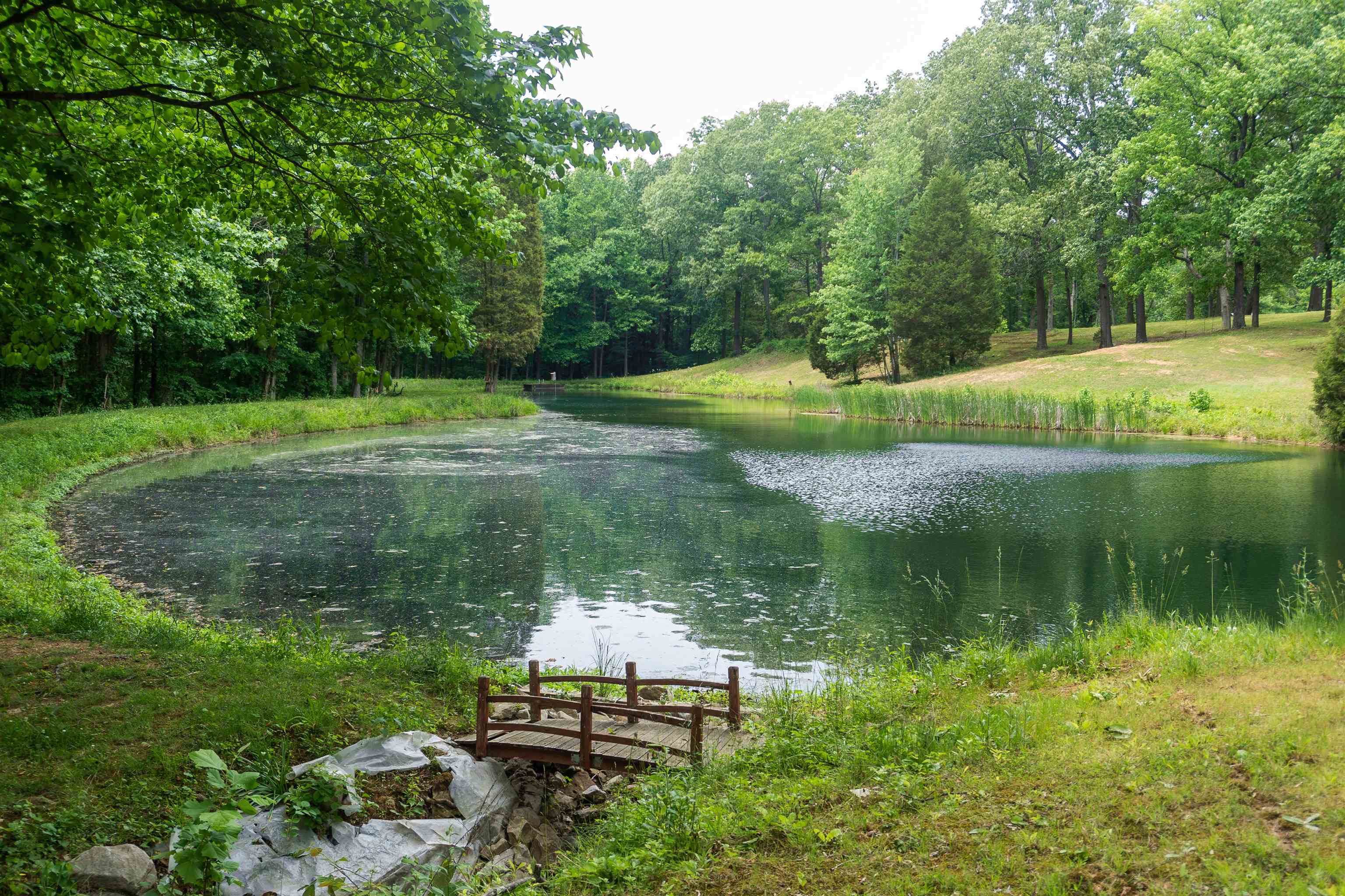 400 Forest Ln, Whitesville, Kentucky 42378, 3 Bedrooms Bedrooms, ,2 BathroomsBathrooms,Cabin,For Sale,Forest Ln,94879