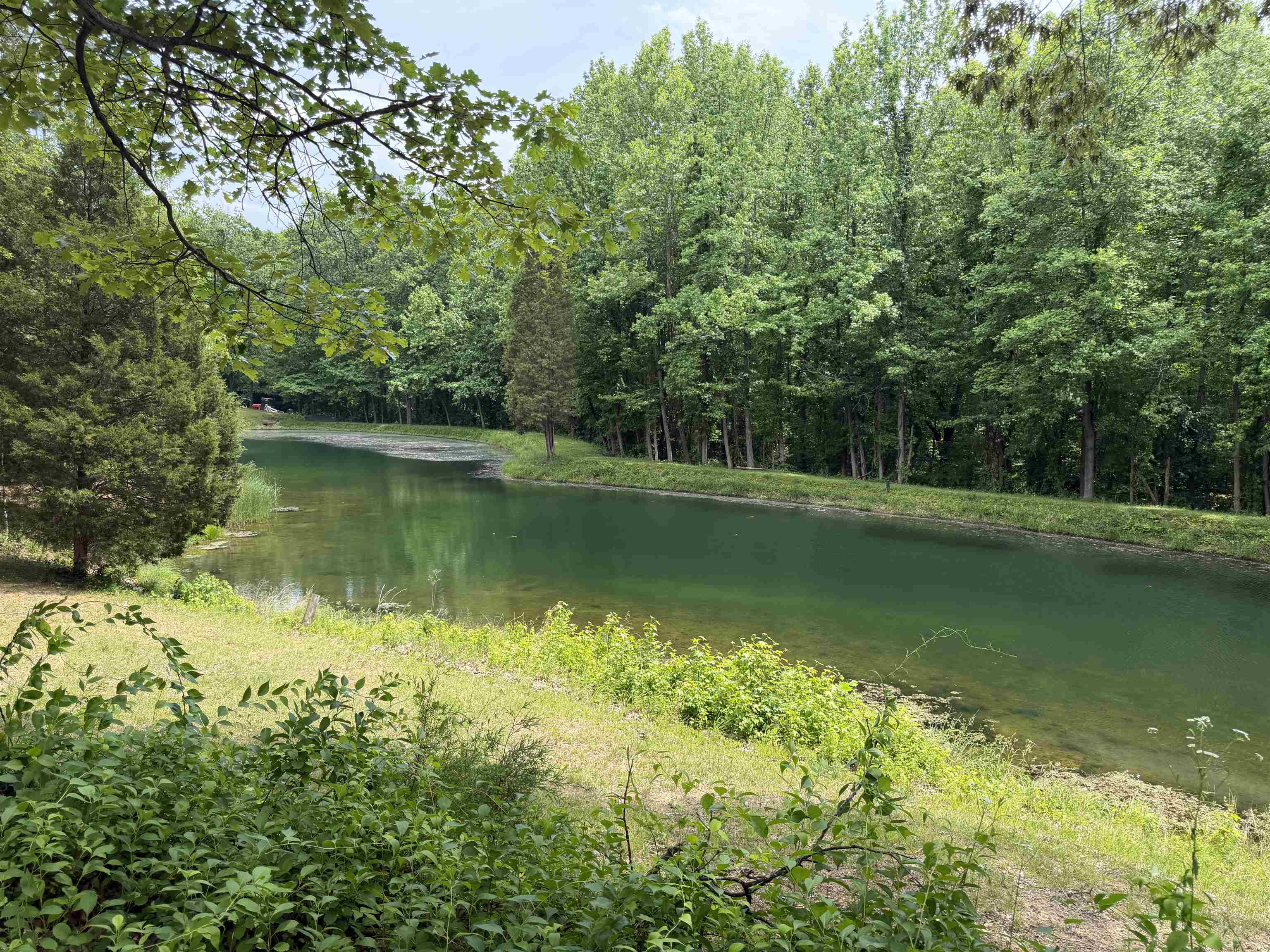 400 Forest Ln, Whitesville, Kentucky 42378, 3 Bedrooms Bedrooms, ,2 BathroomsBathrooms,Cabin,For Sale,Forest Ln,94879