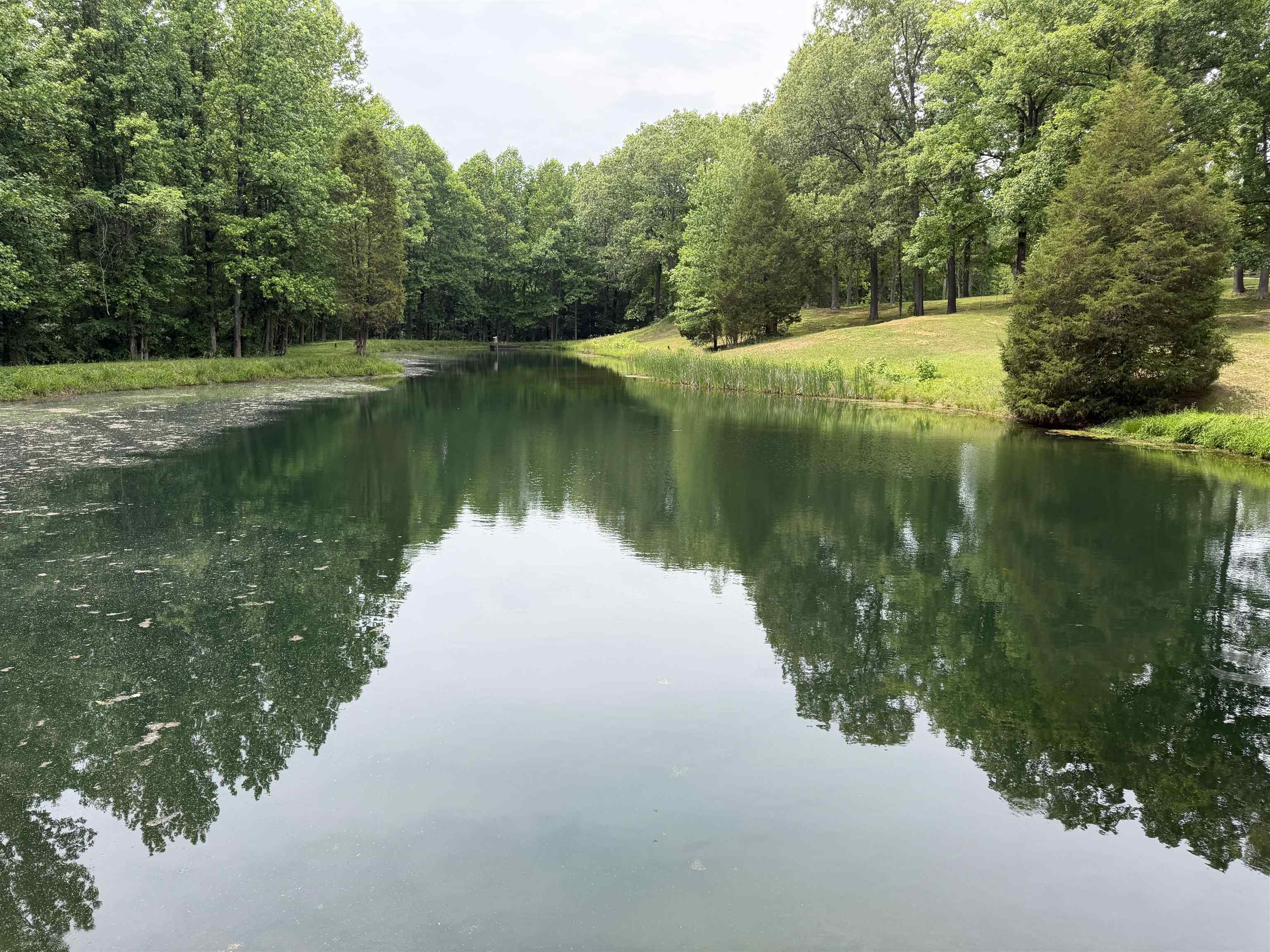 400 Forest Ln, Whitesville, Kentucky 42378, 3 Bedrooms Bedrooms, ,2 BathroomsBathrooms,Cabin,For Sale,Forest Ln,94879