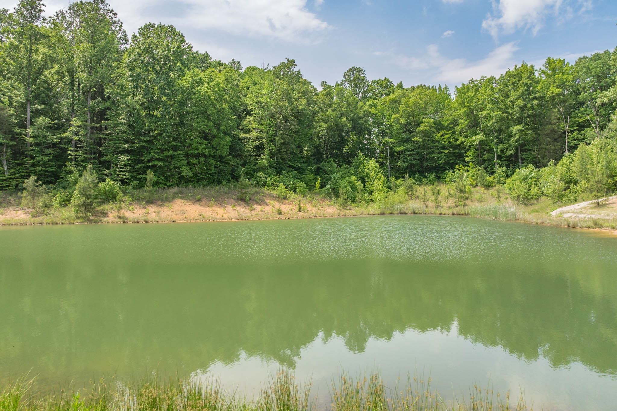 0 N Indian Hill Rd, Hawesville, Kentucky 42348, ,Land,For Sale,N Indian Hill Rd,94886