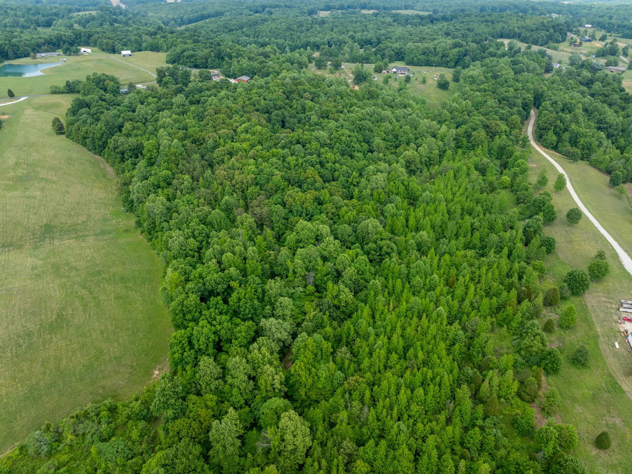 0 N Indian Hill Rd, Hawesville, Kentucky 42348, ,Land,For Sale,N Indian Hill Rd,94886