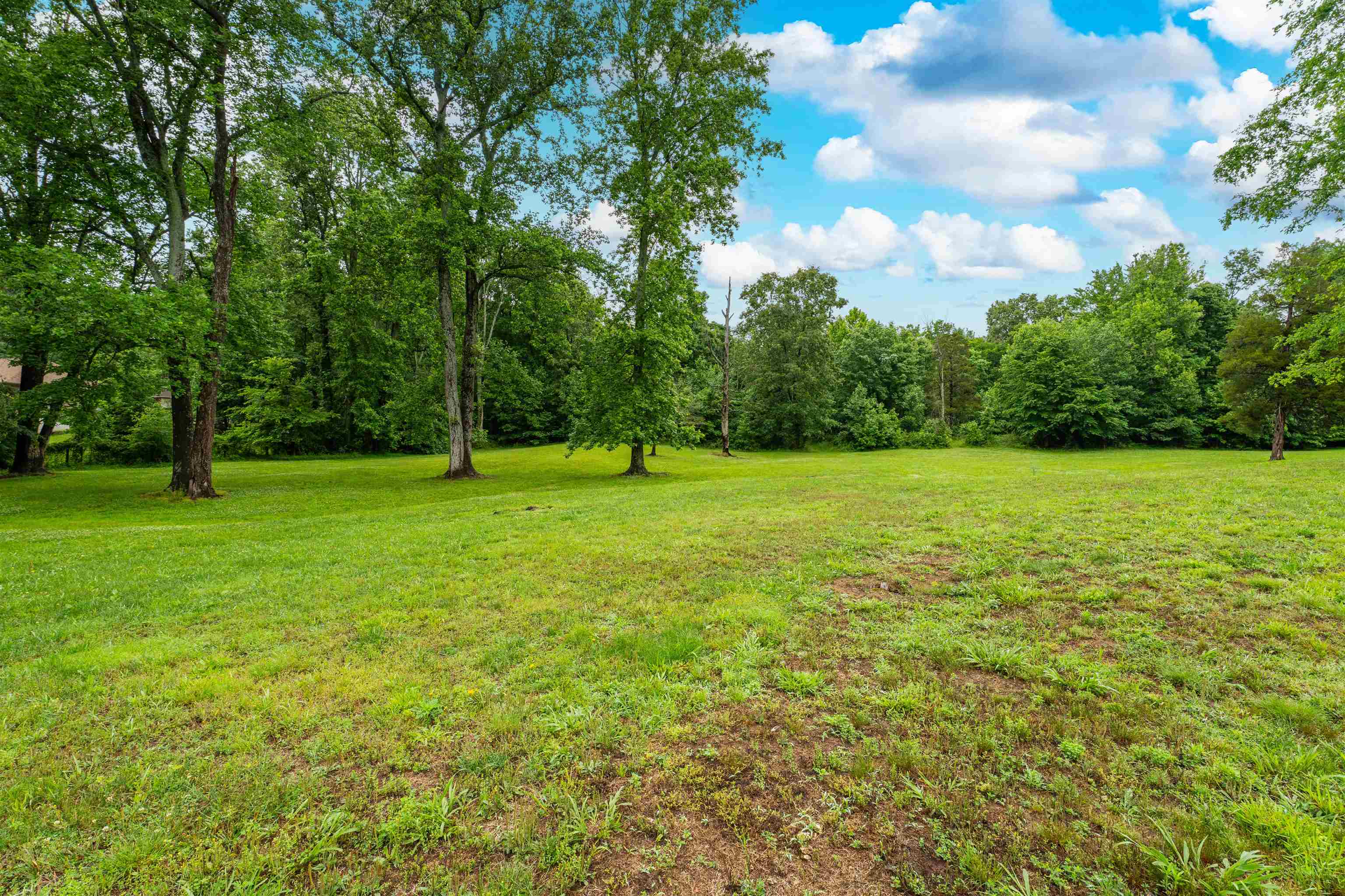 0 Maple Leaf Lake Ln., Utica, Kentucky 42376, ,Land,For Sale,Maple Leaf Lake Ln.,94921