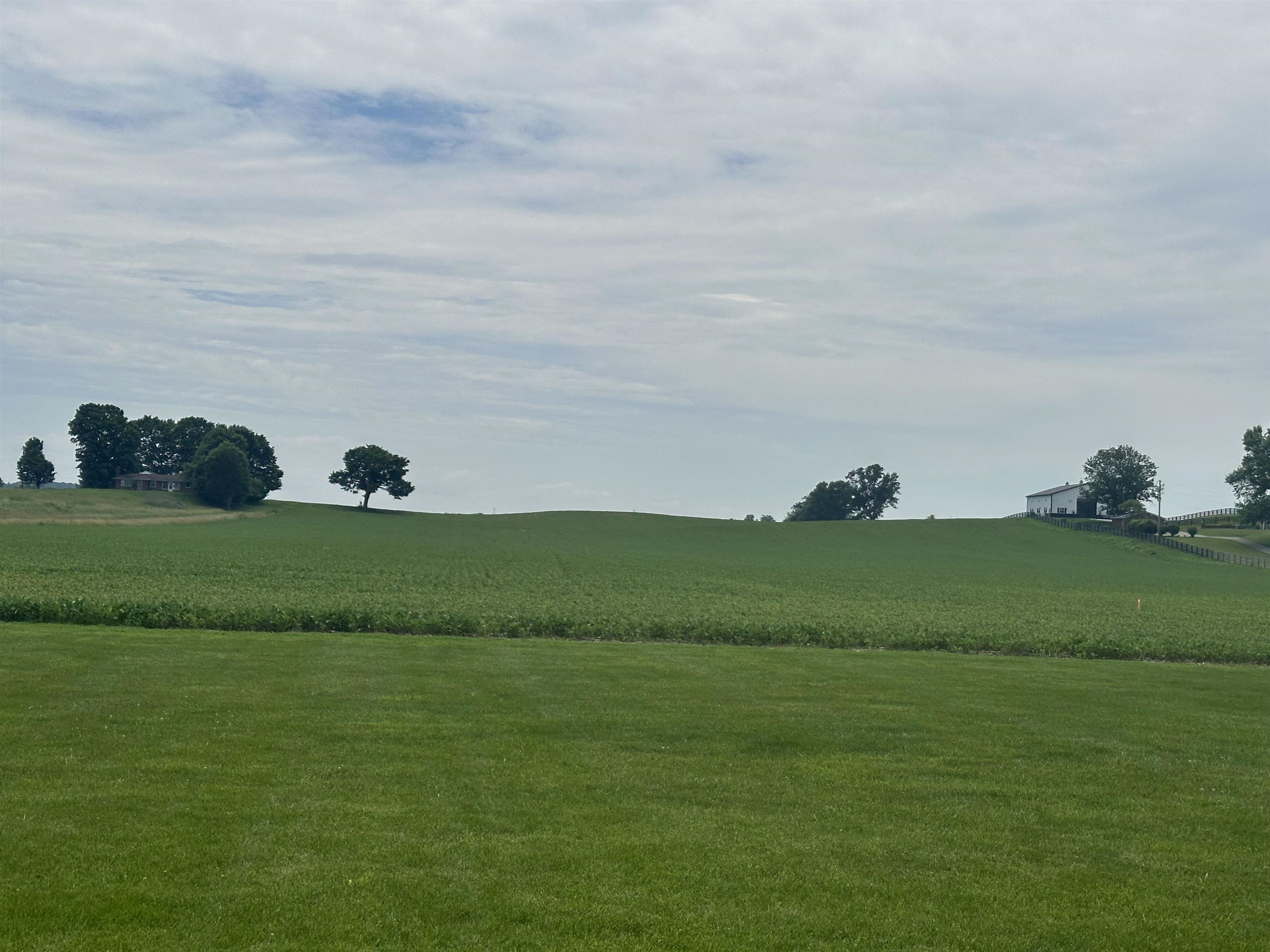 5932 Hwy 144, Owensboro, Kentucky 42303, ,Land,For Sale,Hwy 144,94996