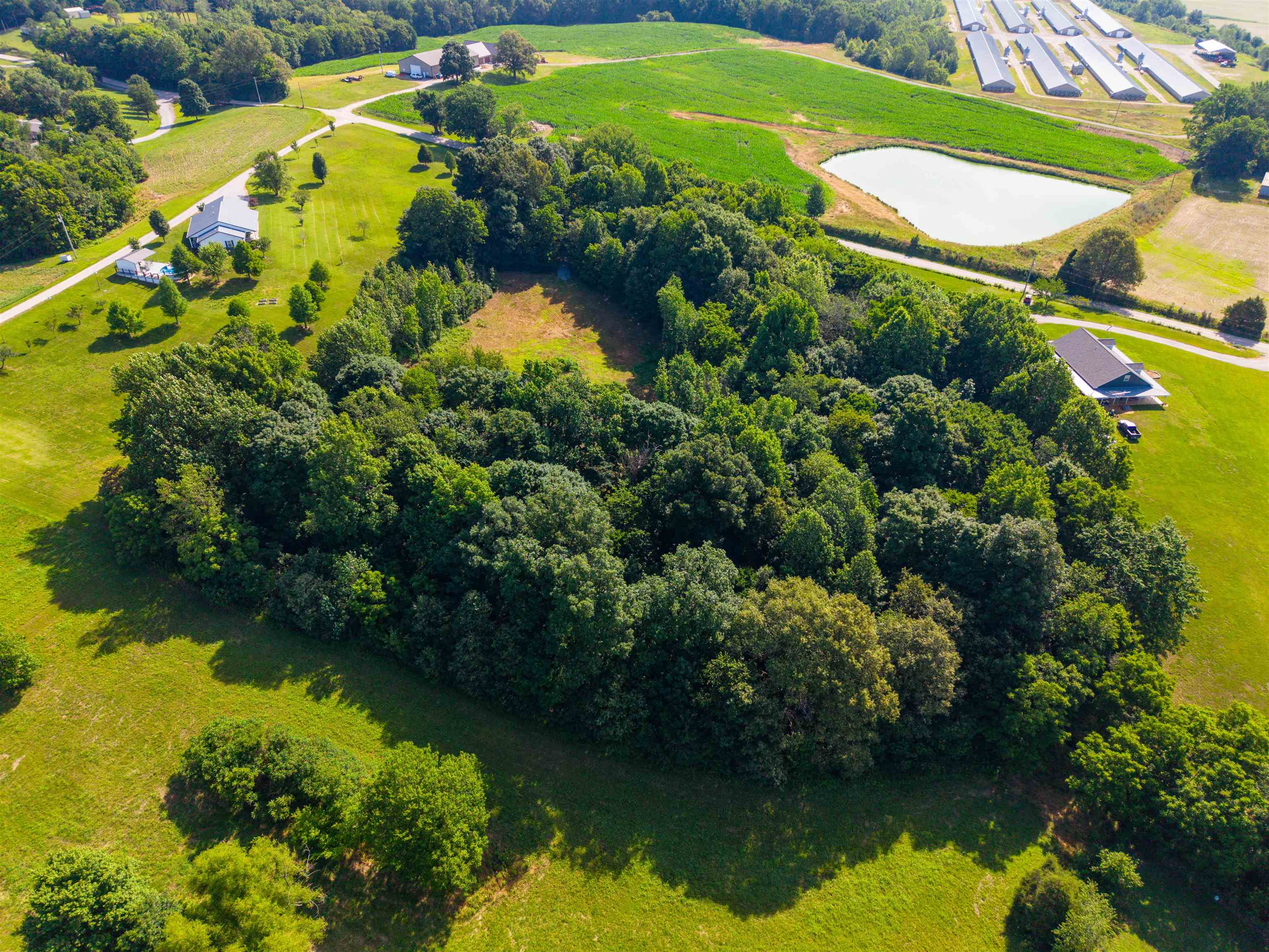 1243 KY 1080, Calhoun, Kentucky 42327, ,Farm,For Sale,KY 1080,95048