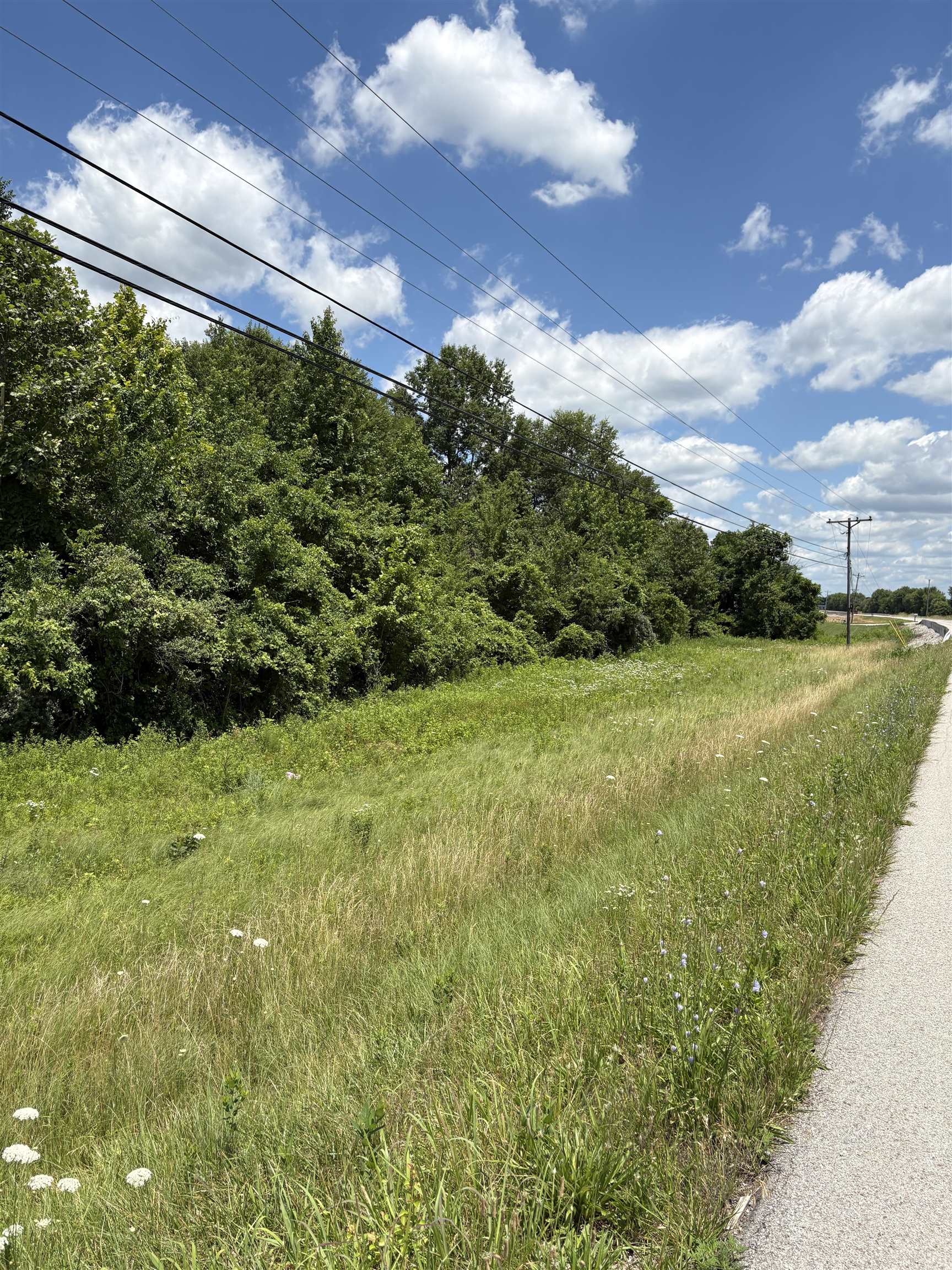 7841 Hwy 2830, Maceo, Kentucky 42355, ,Land,For Sale,Hwy 2830,95089