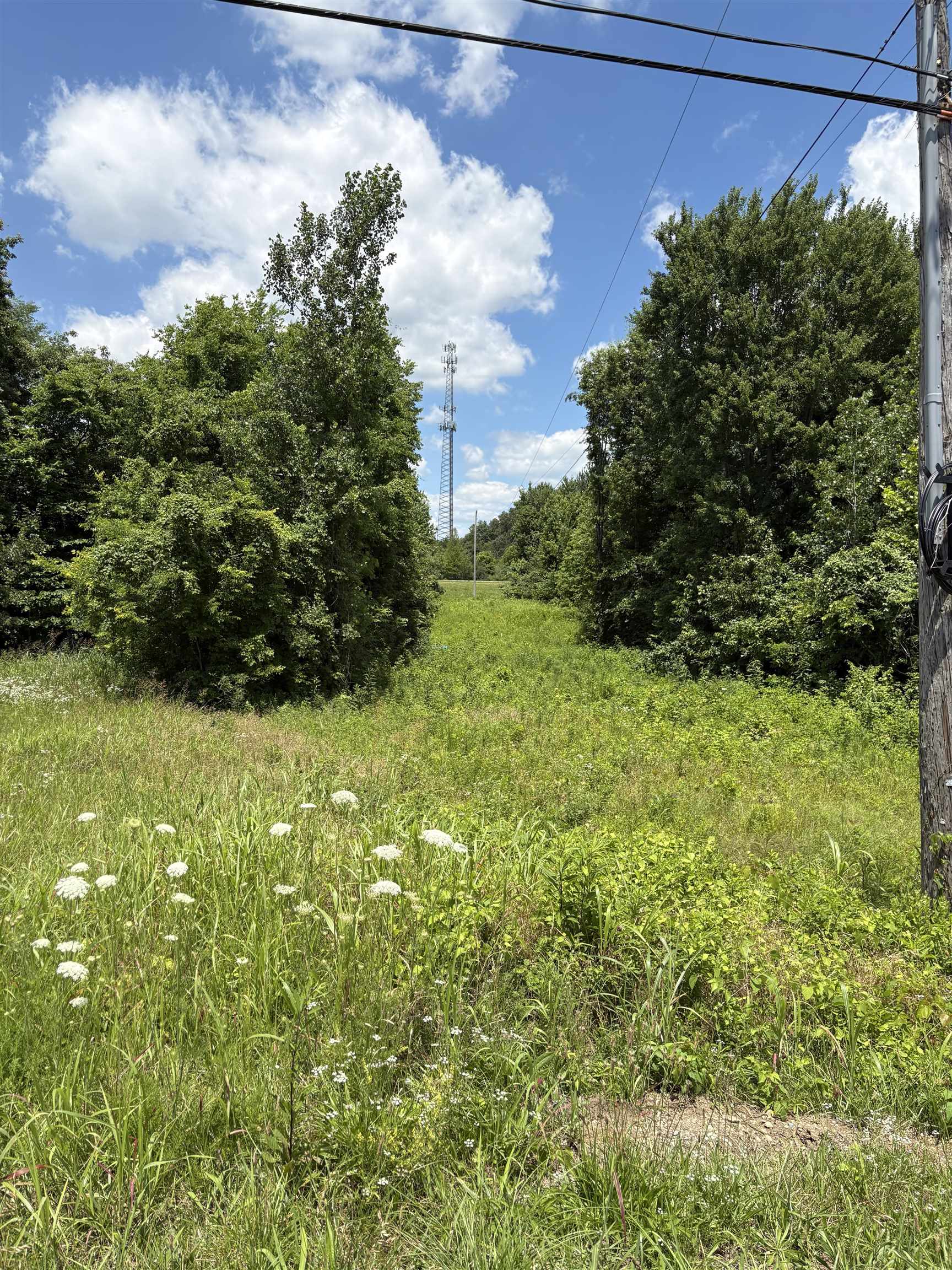 7841 Hwy 2830, Maceo, Kentucky 42355, ,Land,For Sale,Hwy 2830,95089