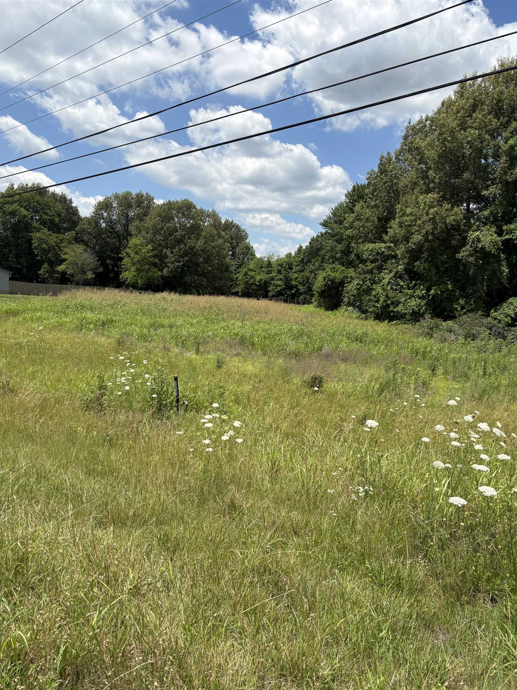 7841 Hwy 2830, Maceo, Kentucky 42355, ,Land,For Sale,Hwy 2830,95089