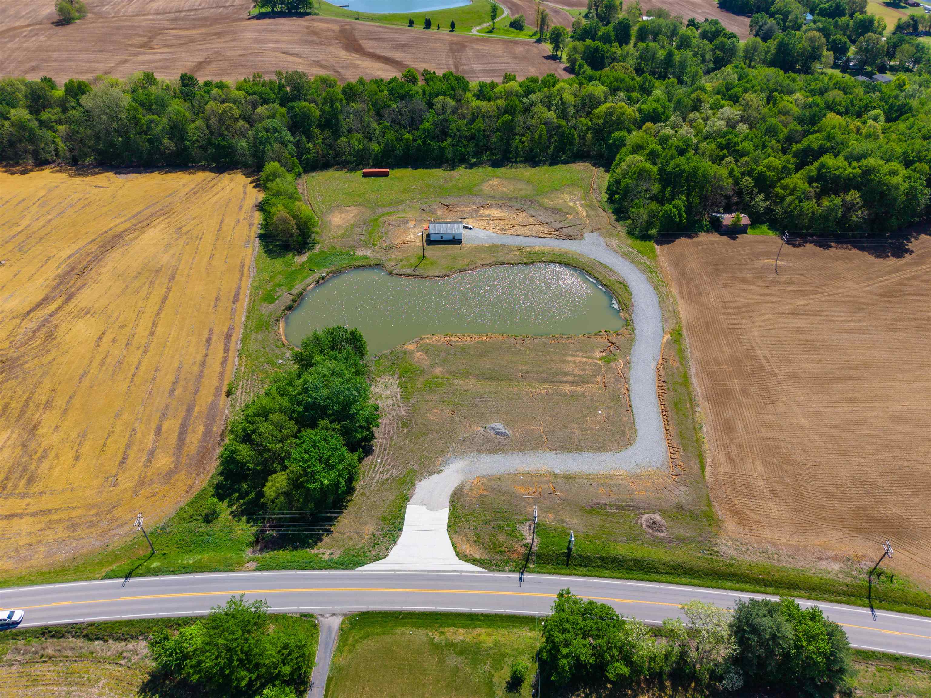 12425 HWY 431, Utica, Kentucky 42376, ,Land,For Sale,HWY 431,95119