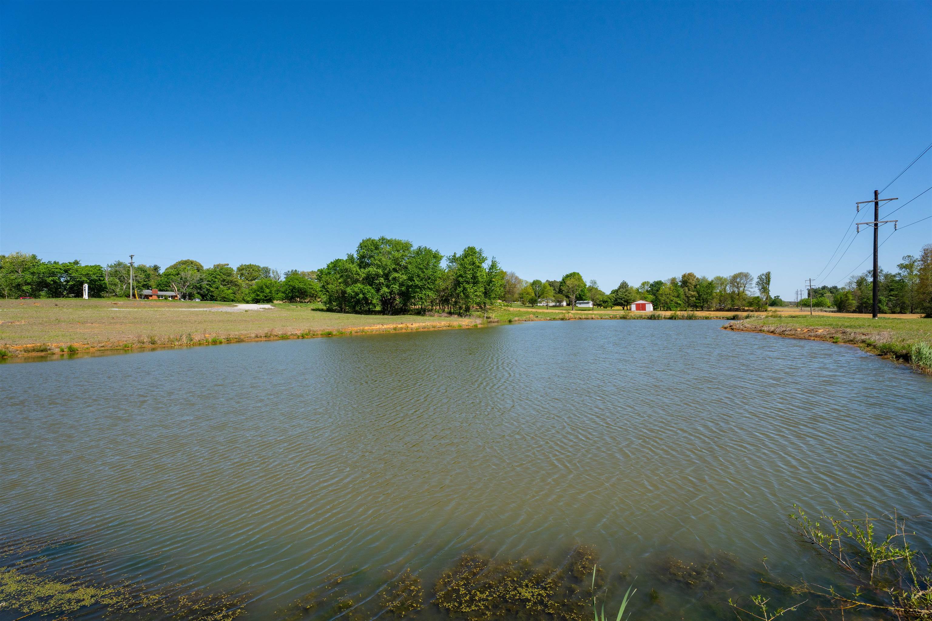 12425 HWY 431, Utica, Kentucky 42376, ,Land,For Sale,HWY 431,95119