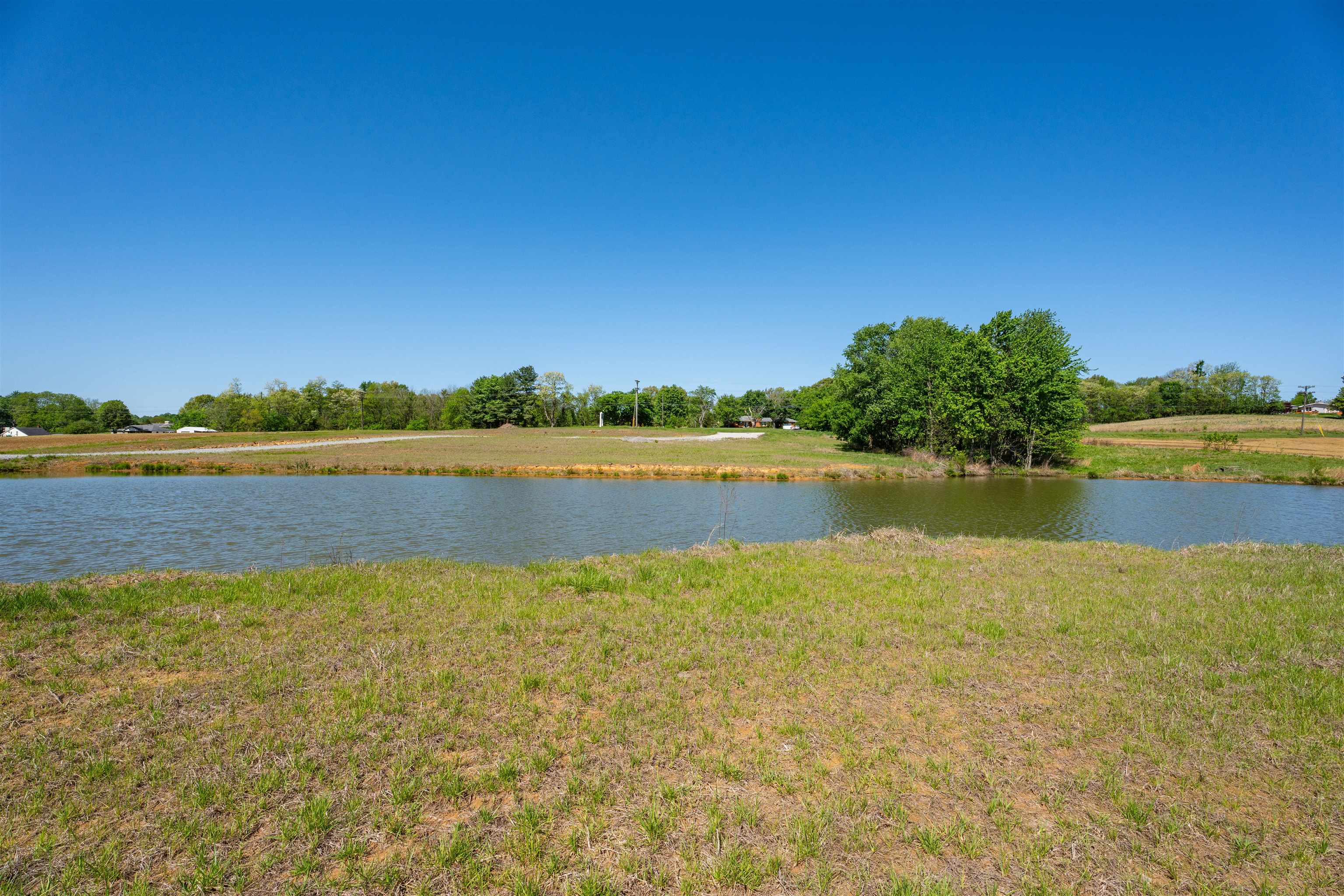 12425 HWY 431, Utica, Kentucky 42376, ,Land,For Sale,HWY 431,95119