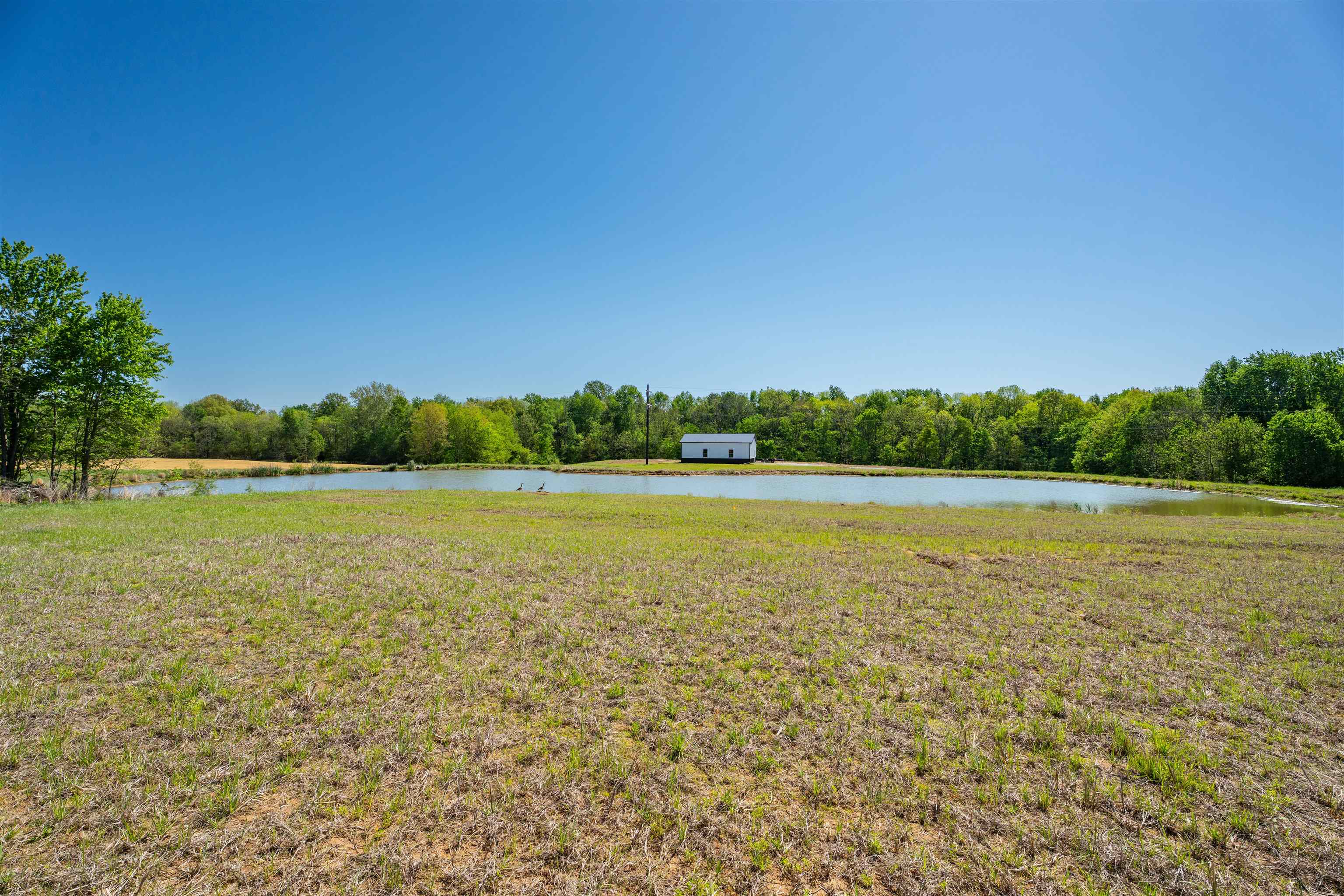 12425 HWY 431, Utica, Kentucky 42376, ,Land,For Sale,HWY 431,95119