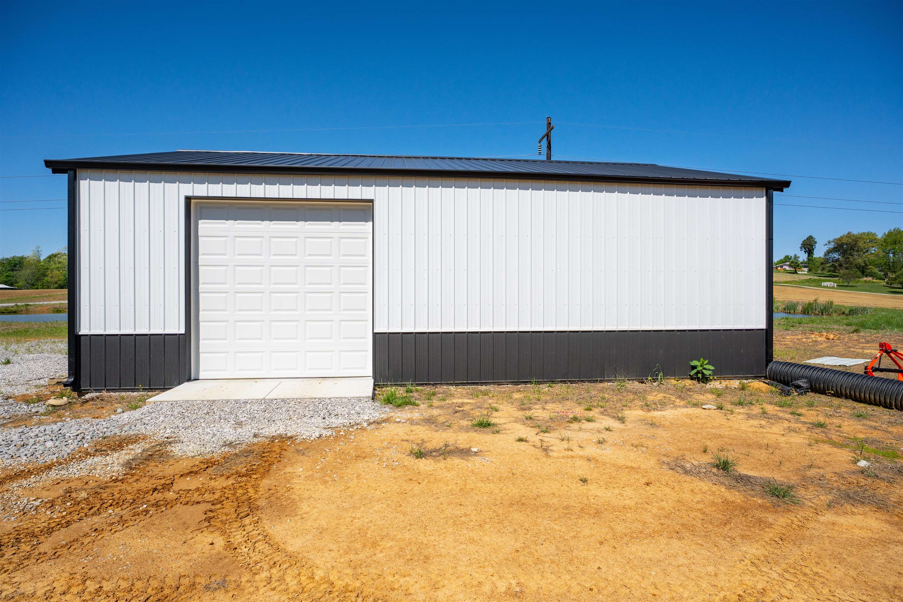 12425 HWY 431, Utica, Kentucky 42376, ,Land,For Sale,HWY 431,95119