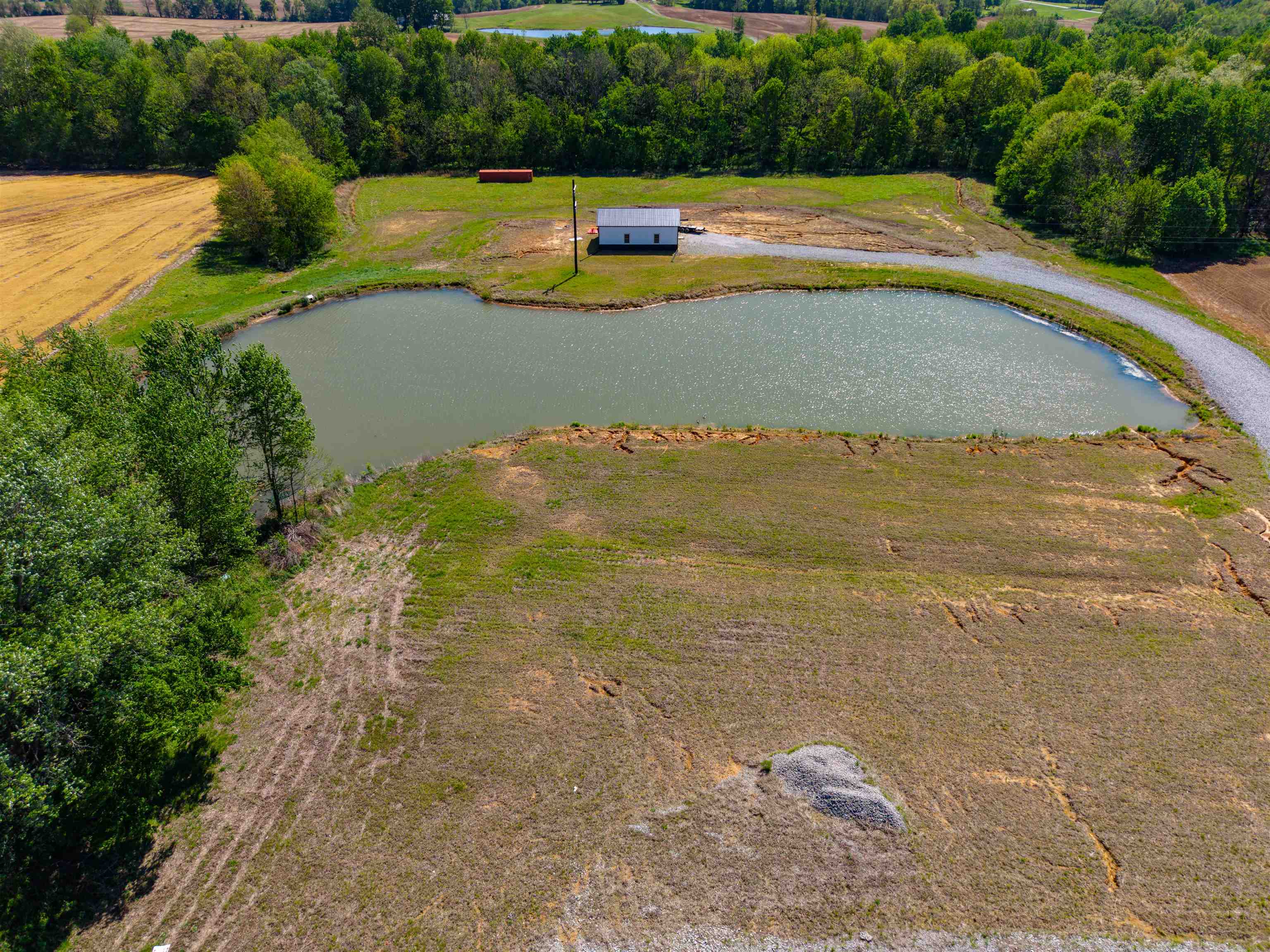 12425 HWY 431, Utica, Kentucky 42376, ,Land,For Sale,HWY 431,95119