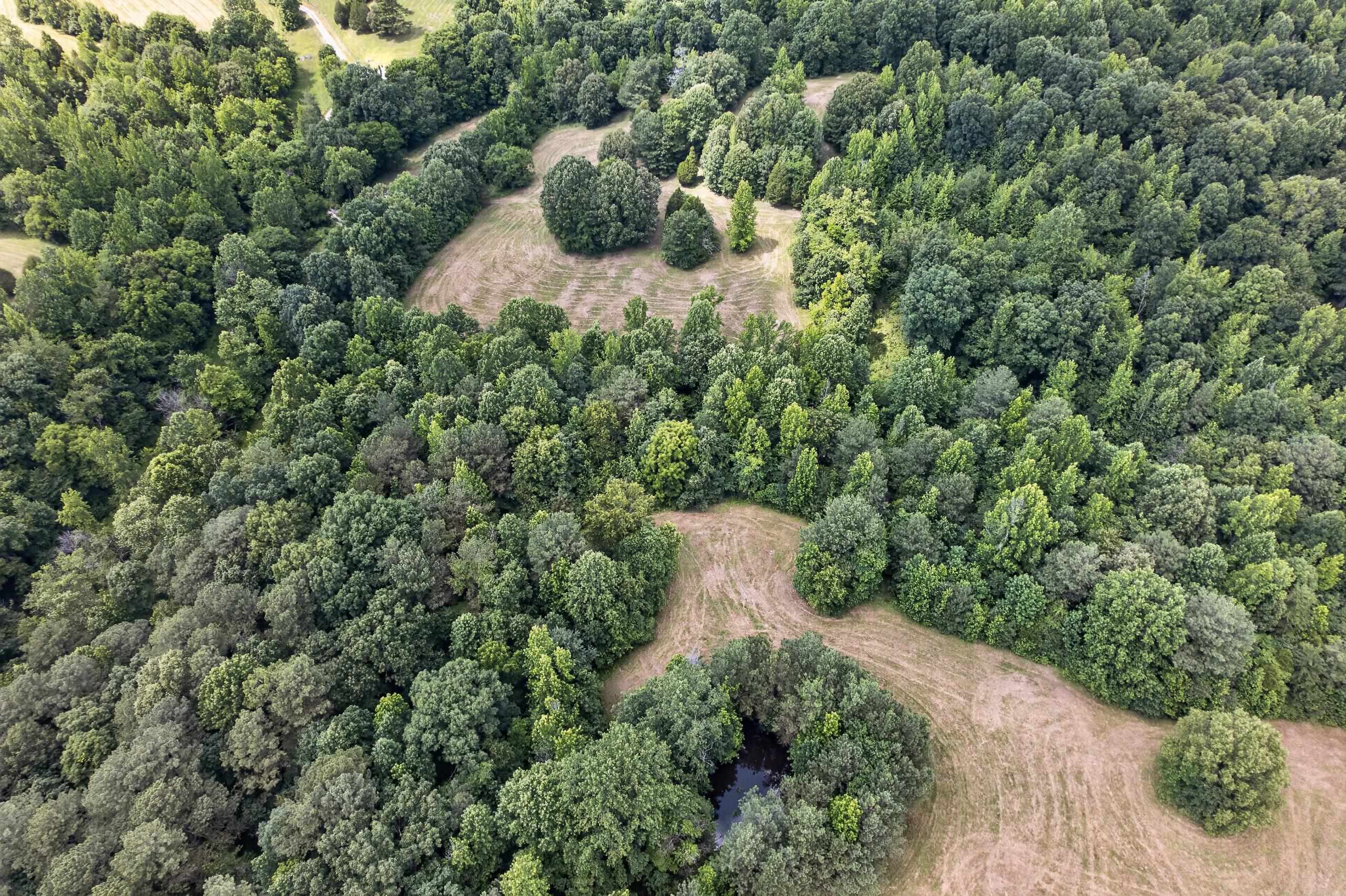 3268 Bethel Church Rd, Beaver Dam, Kentucky 42320, 3 Bedrooms Bedrooms, ,2 BathroomsBathrooms,Single Family Residence,For Sale,Bethel Church Rd,95127
