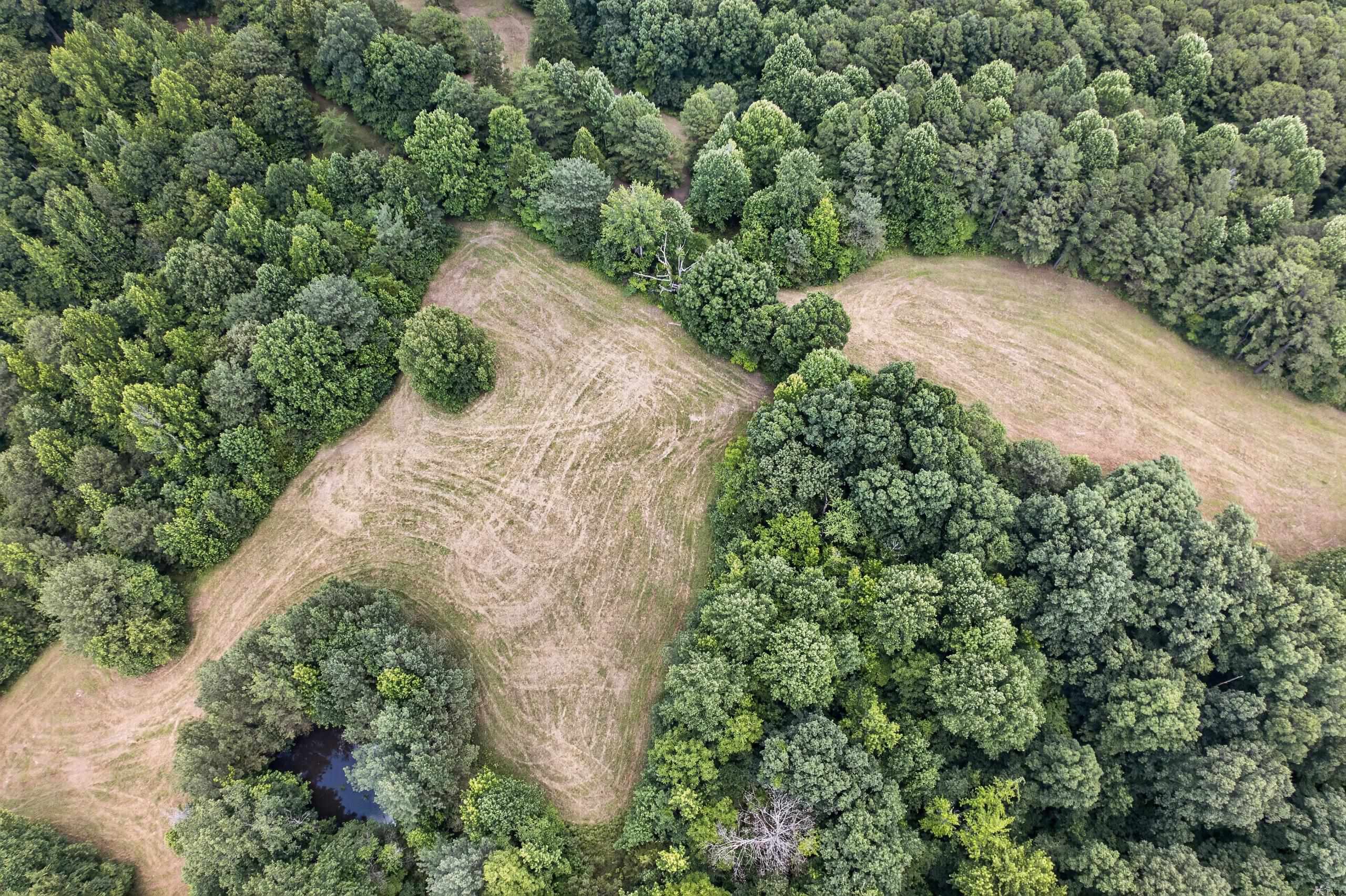 3268 Bethel Church Rd, Beaver Dam, Kentucky 42320, 3 Bedrooms Bedrooms, ,2 BathroomsBathrooms,Single Family Residence,For Sale,Bethel Church Rd,95127