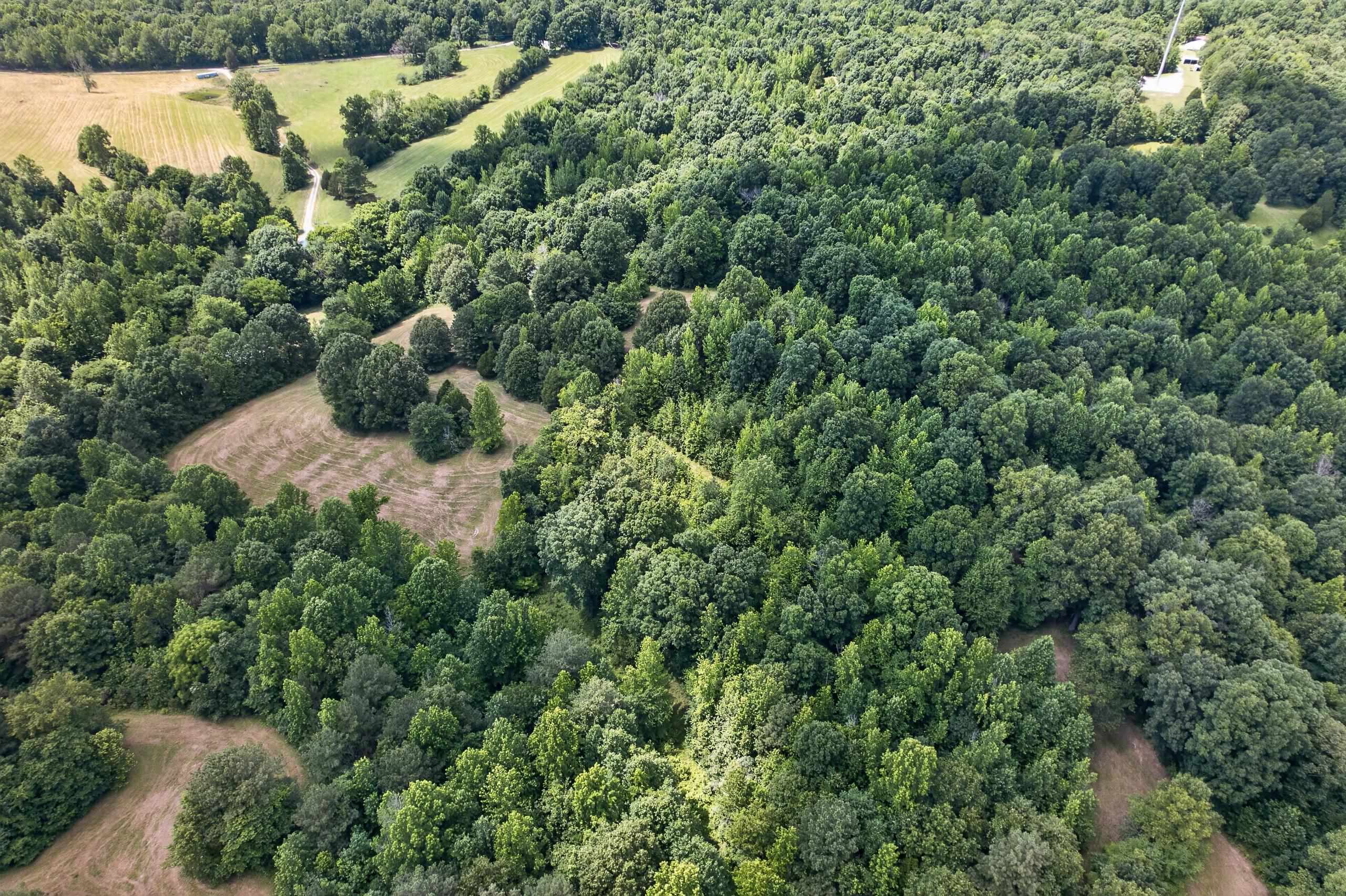 3268 Bethel Church Rd, Beaver Dam, Kentucky 42320, 3 Bedrooms Bedrooms, ,2 BathroomsBathrooms,Single Family Residence,For Sale,Bethel Church Rd,95127