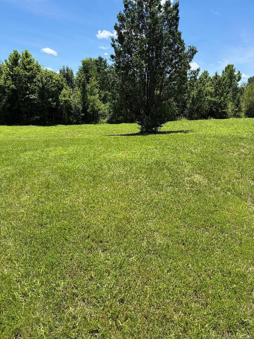 148 Oak Hill Ln, Beaver Dam, Kentucky 42320, ,Land,For Sale,Oak Hill Ln,95149