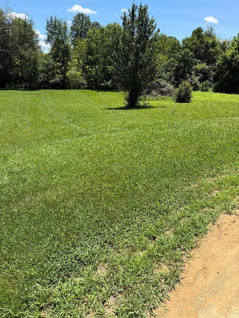 148 Oak Hill Ln, Beaver Dam, Kentucky 42320, ,Land,For Sale,Oak Hill Ln,95149