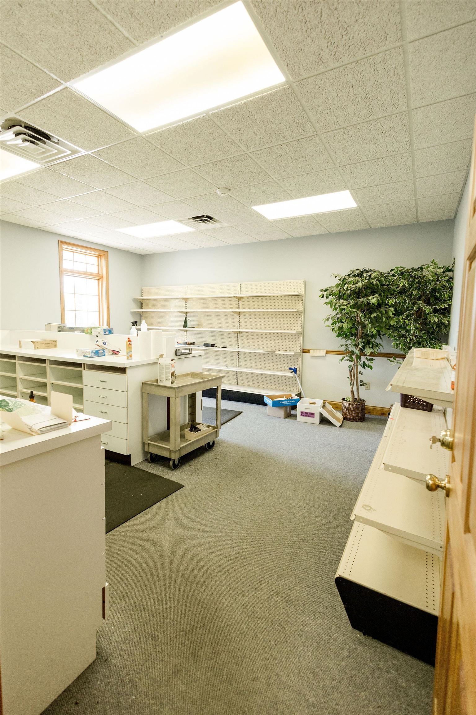 3030 Burlew Boulevard, Owensboro, Kentucky 42303, ,Office,For Sale,Burlew Boulevard,95204