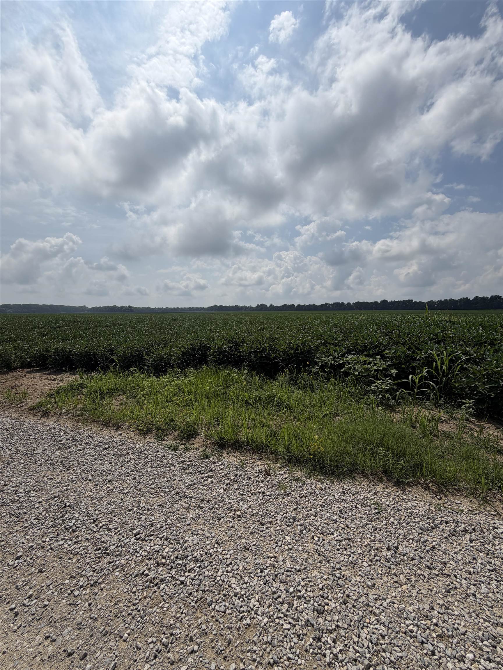 0 Diamond Island Bend, Corydon, Kentucky 42420, ,Land,For Sale,Diamond Island Bend,95326