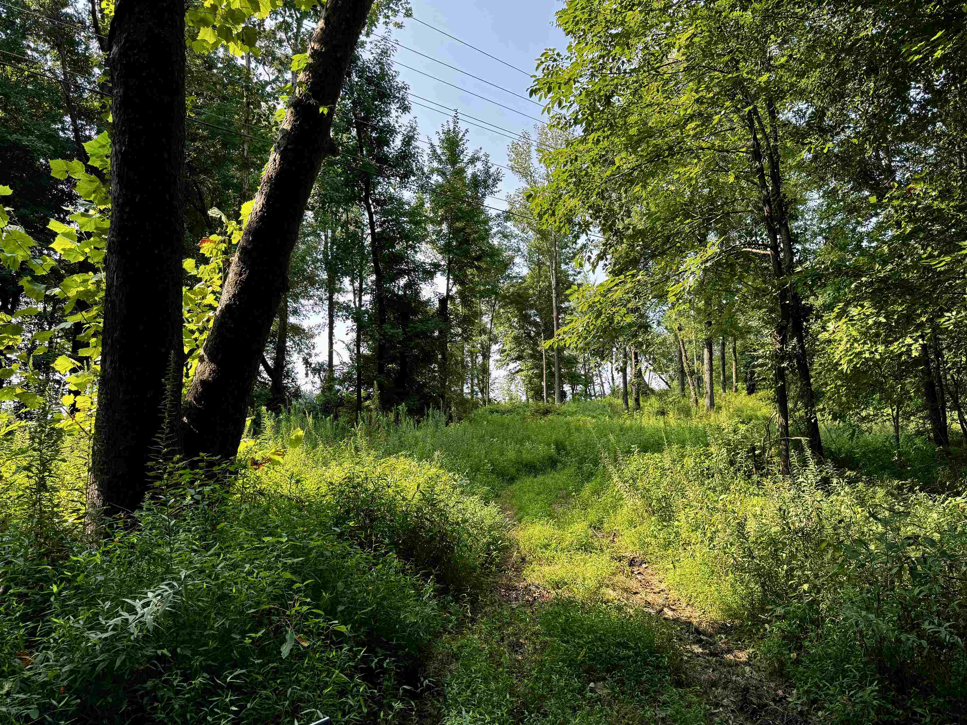 0 Embry Ln, Hartford, Kentucky 42347, ,Land,For Sale,Embry Ln,95478