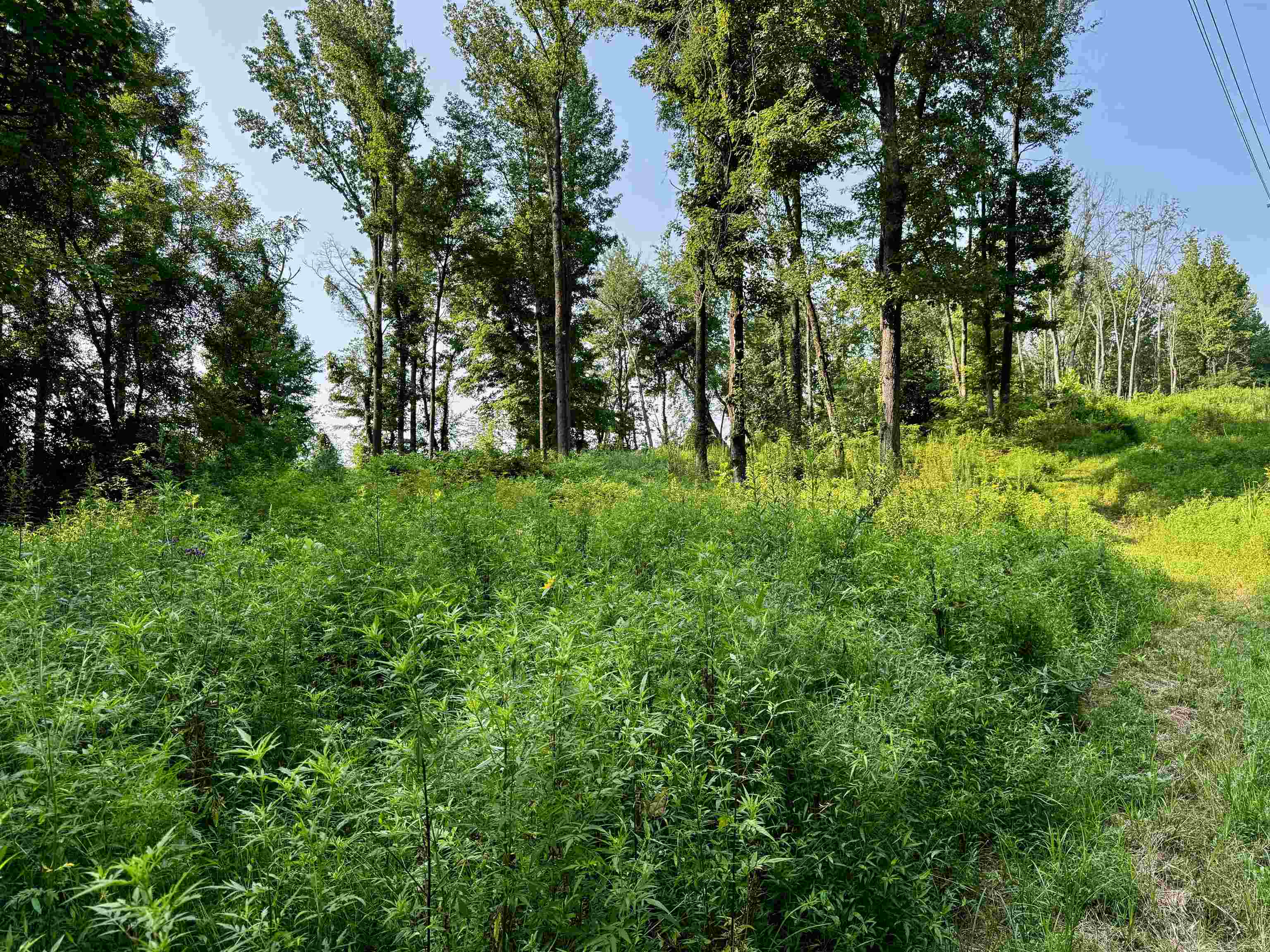 0 Embry Ln, Hartford, Kentucky 42347, ,Land,For Sale,Embry Ln,95478