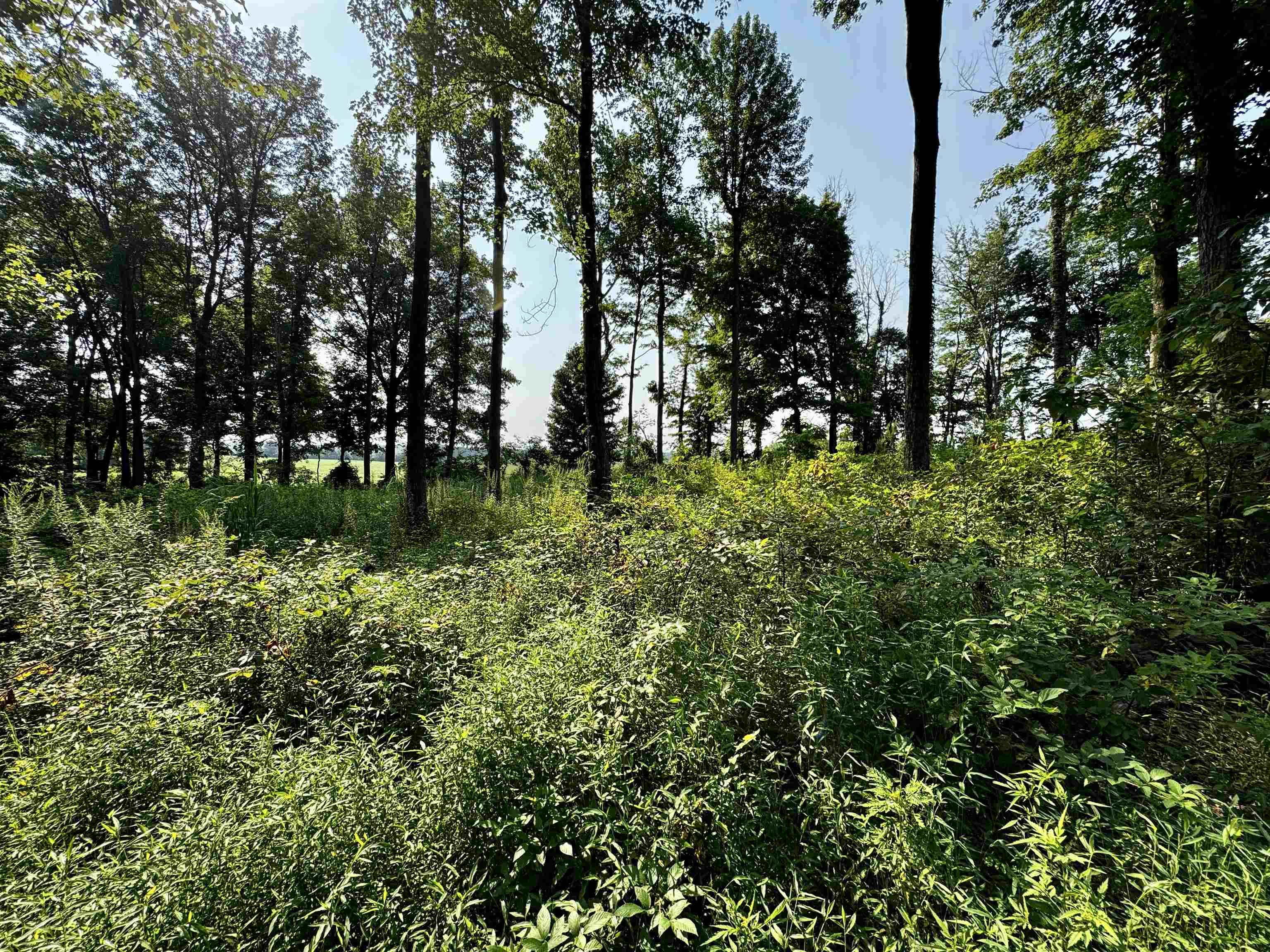 0 Embry Ln, Hartford, Kentucky 42347, ,Land,For Sale,Embry Ln,95478