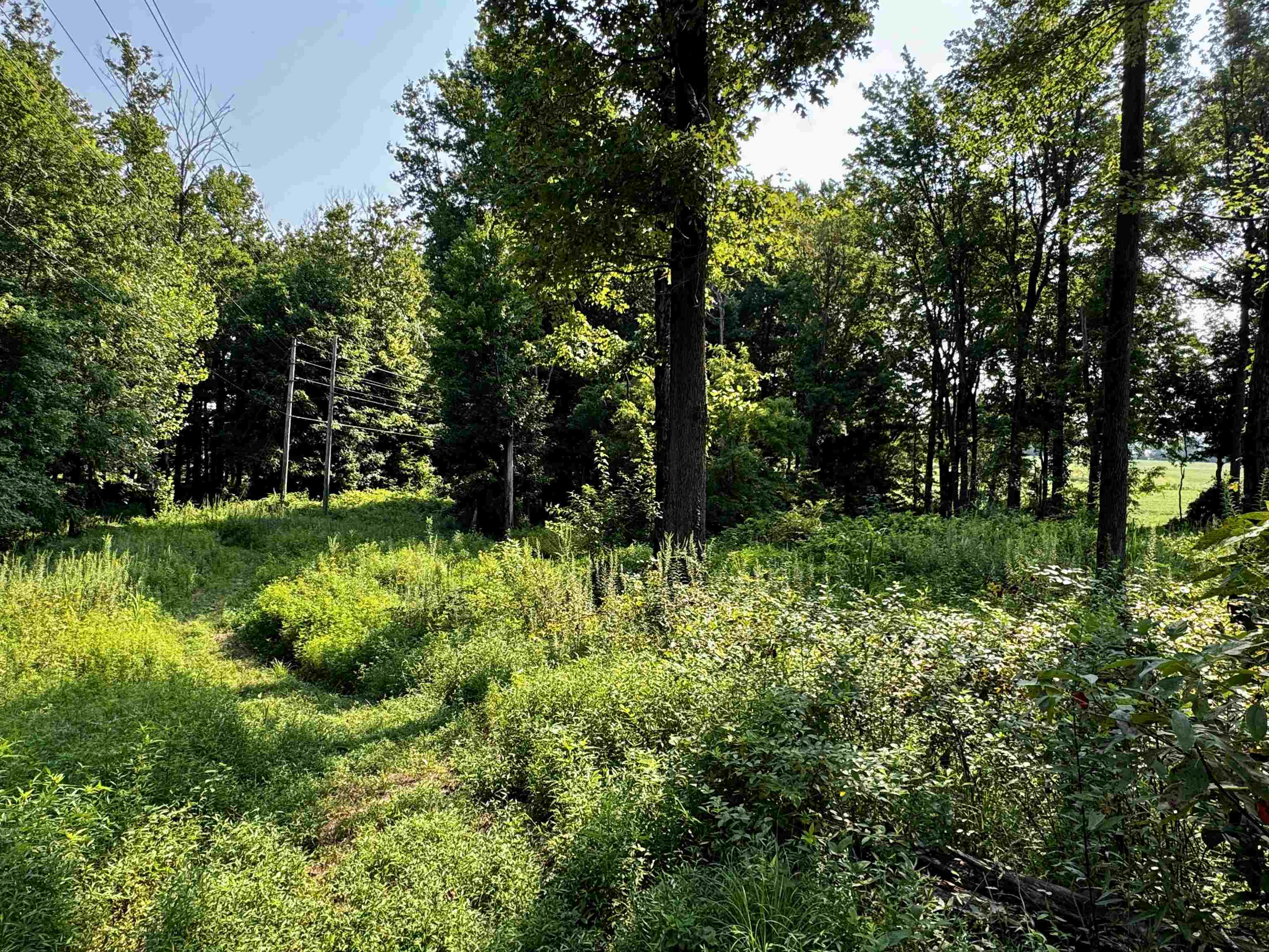 0 Embry Ln, Hartford, Kentucky 42347, ,Land,For Sale,Embry Ln,95478