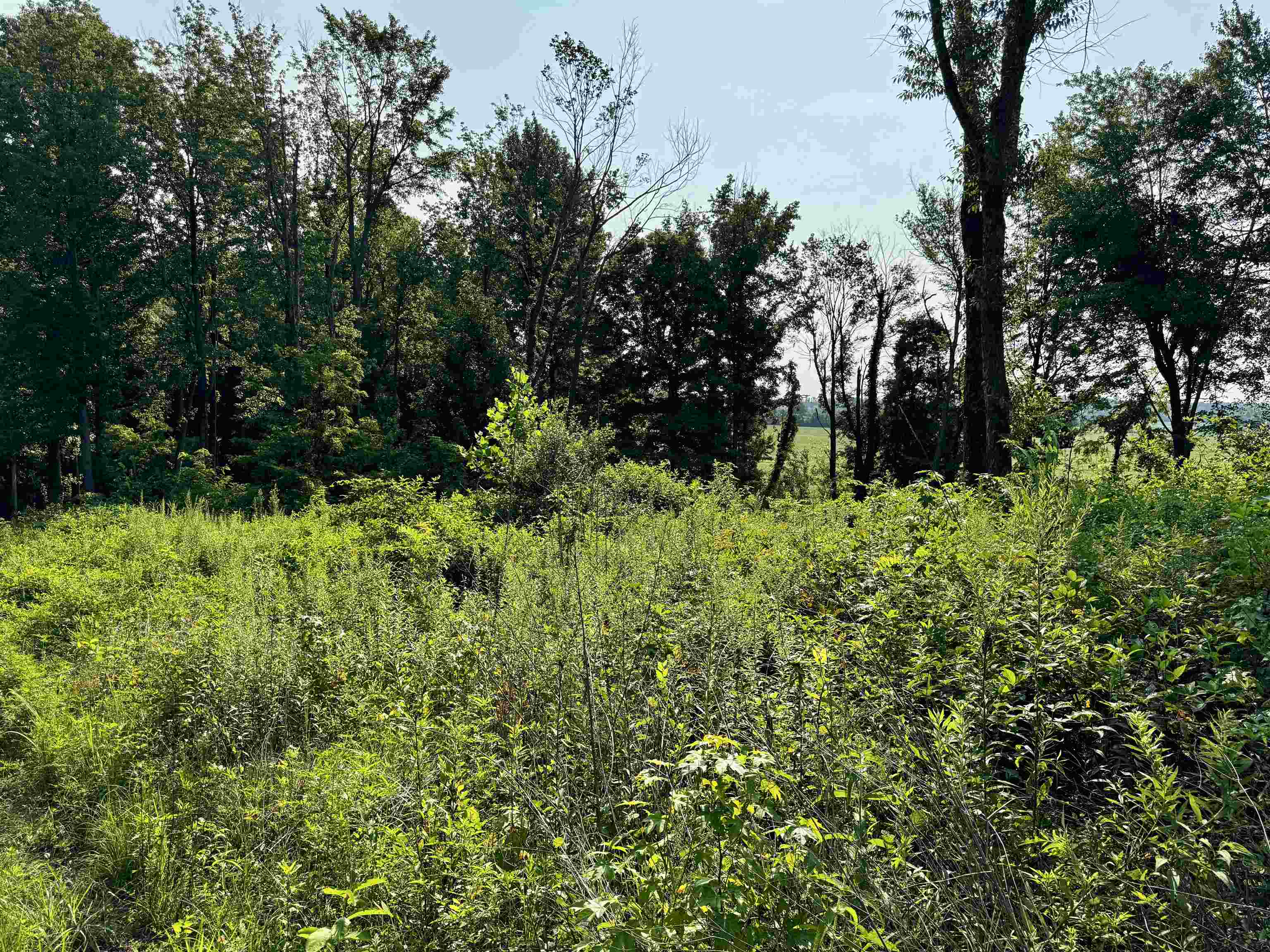 0 Embry Ln, Hartford, Kentucky 42347, ,Land,For Sale,Embry Ln,95478