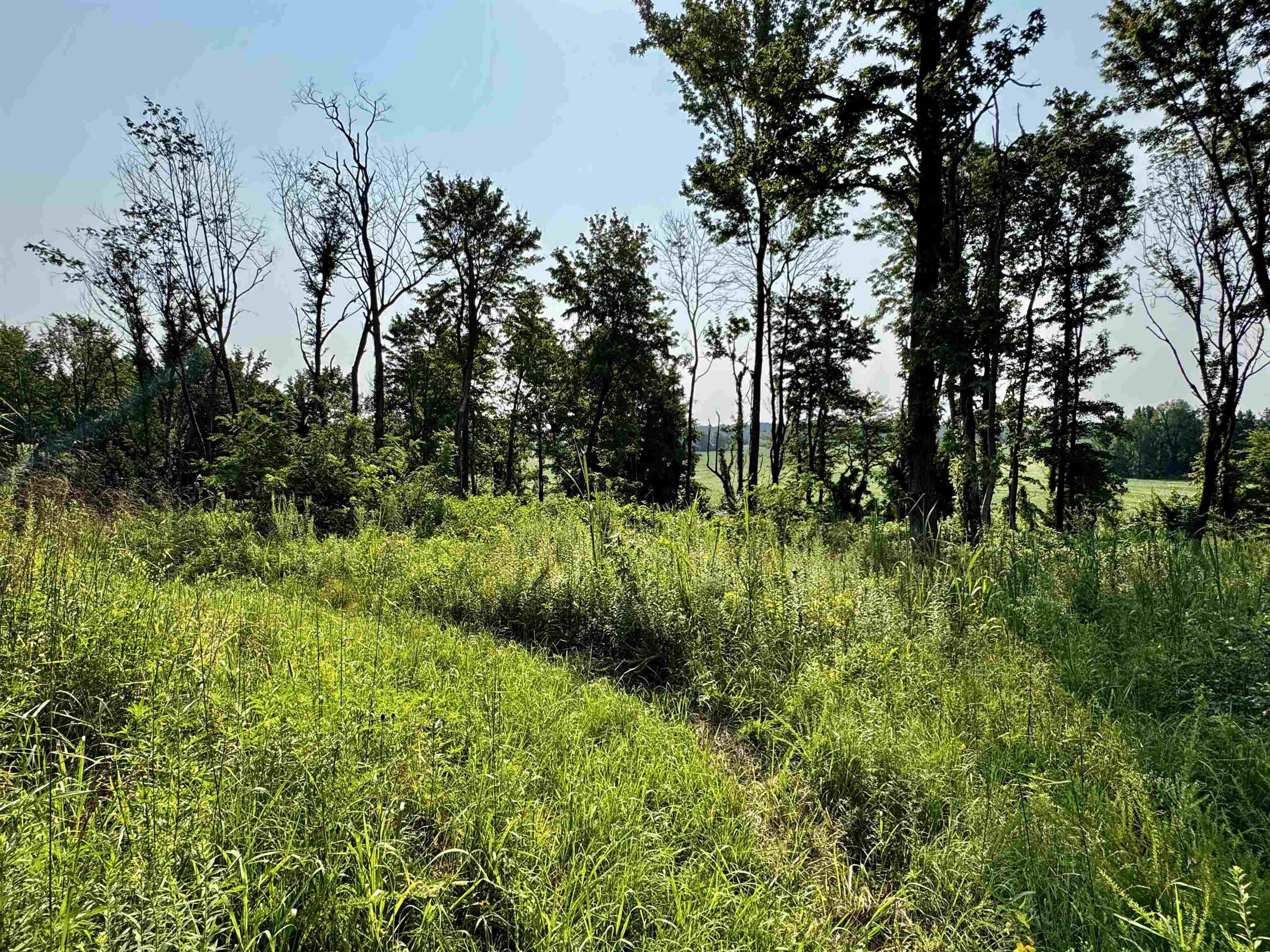 0 Embry Ln, Hartford, Kentucky 42347, ,Land,For Sale,Embry Ln,95478