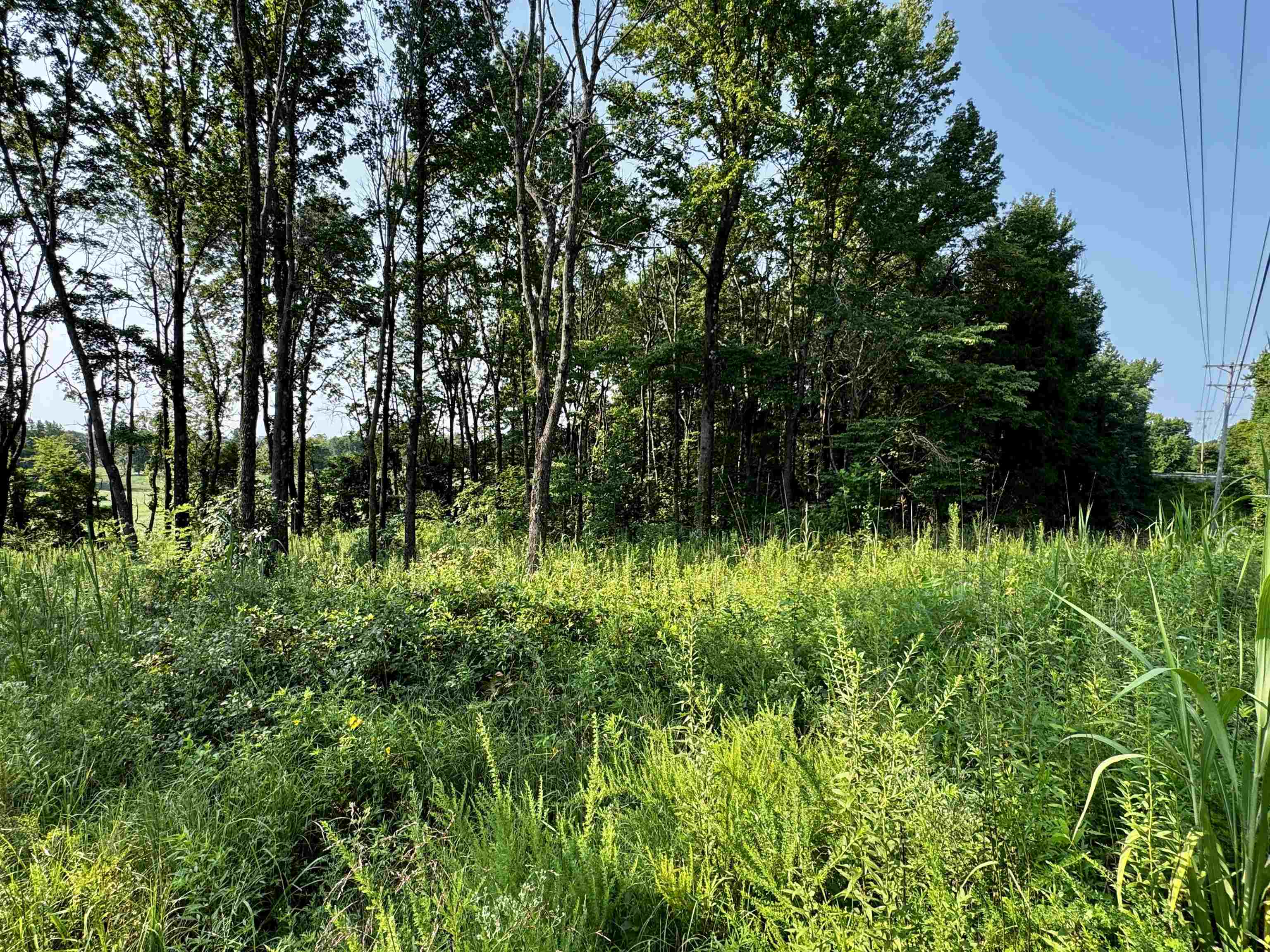0 Embry Ln, Hartford, Kentucky 42347, ,Land,For Sale,Embry Ln,95478