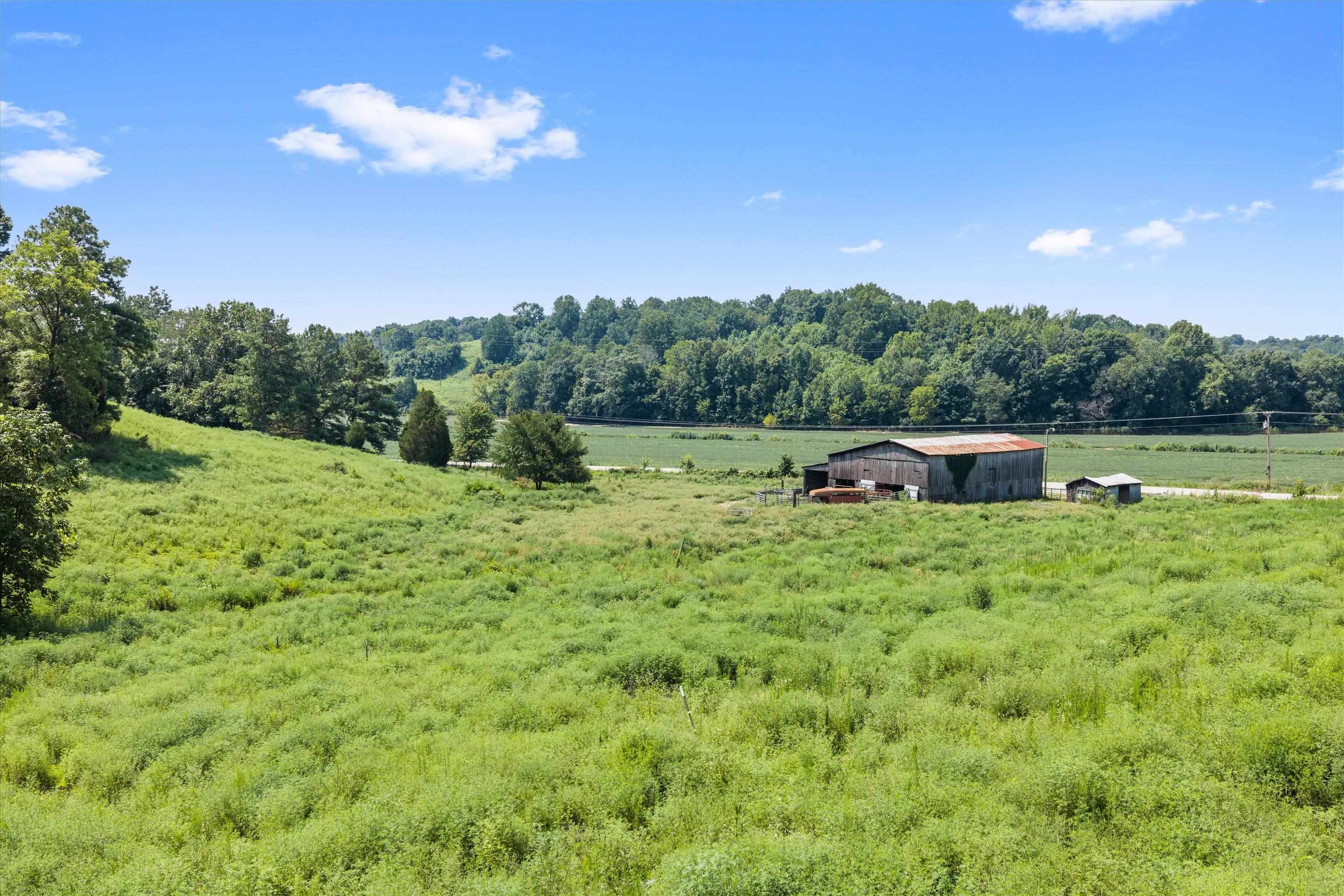 0 State Route 144 E, Hawesville, Kentucky 42348, ,Farm,For Sale,State Route 144 E,95480