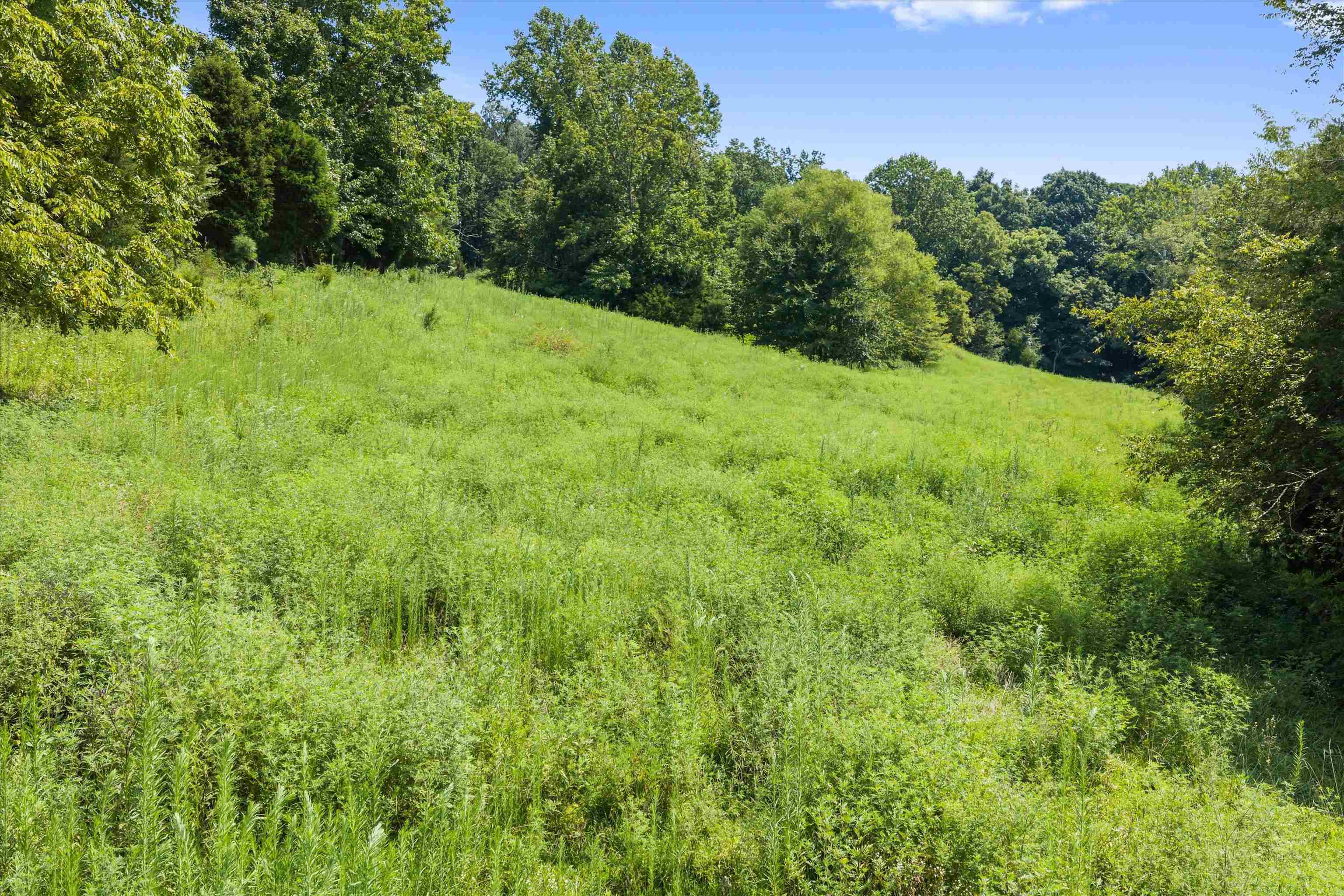 0 State Route 144 E, Hawesville, Kentucky 42348, ,Farm,For Sale,State Route 144 E,95480