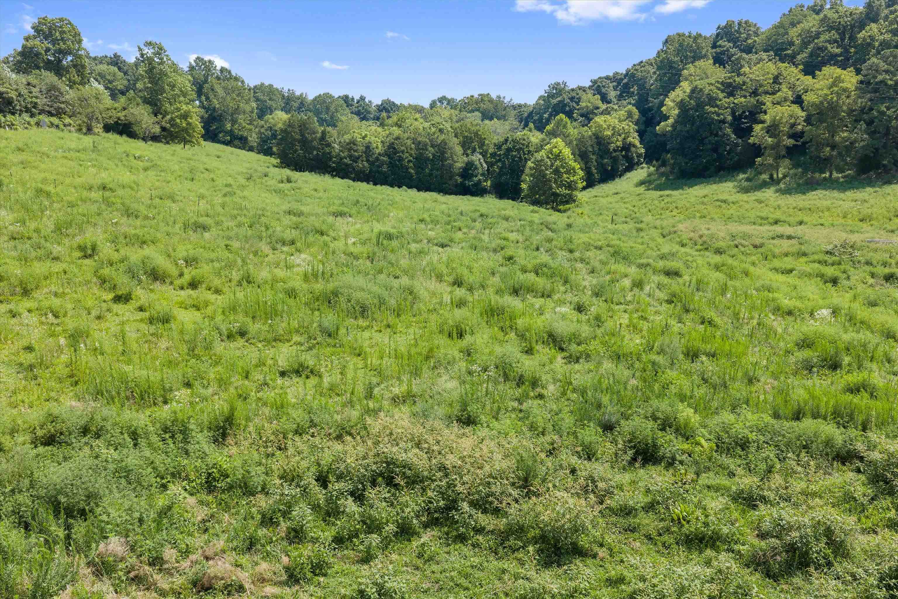 0 State Route 144 E, Hawesville, Kentucky 42348, ,Farm,For Sale,State Route 144 E,95480