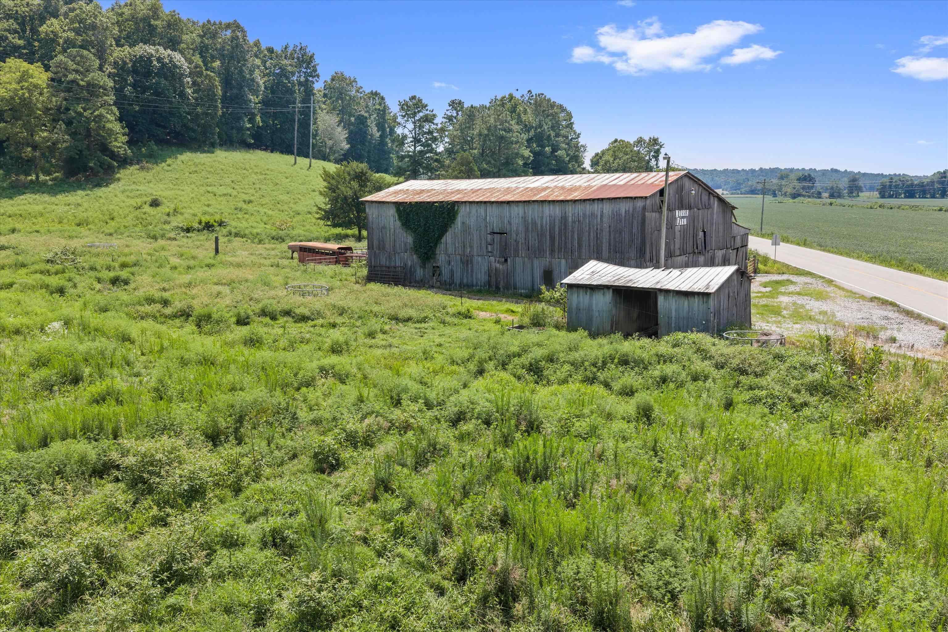 0 State Route 144 E, Hawesville, Kentucky 42348, ,Farm,For Sale,State Route 144 E,95480