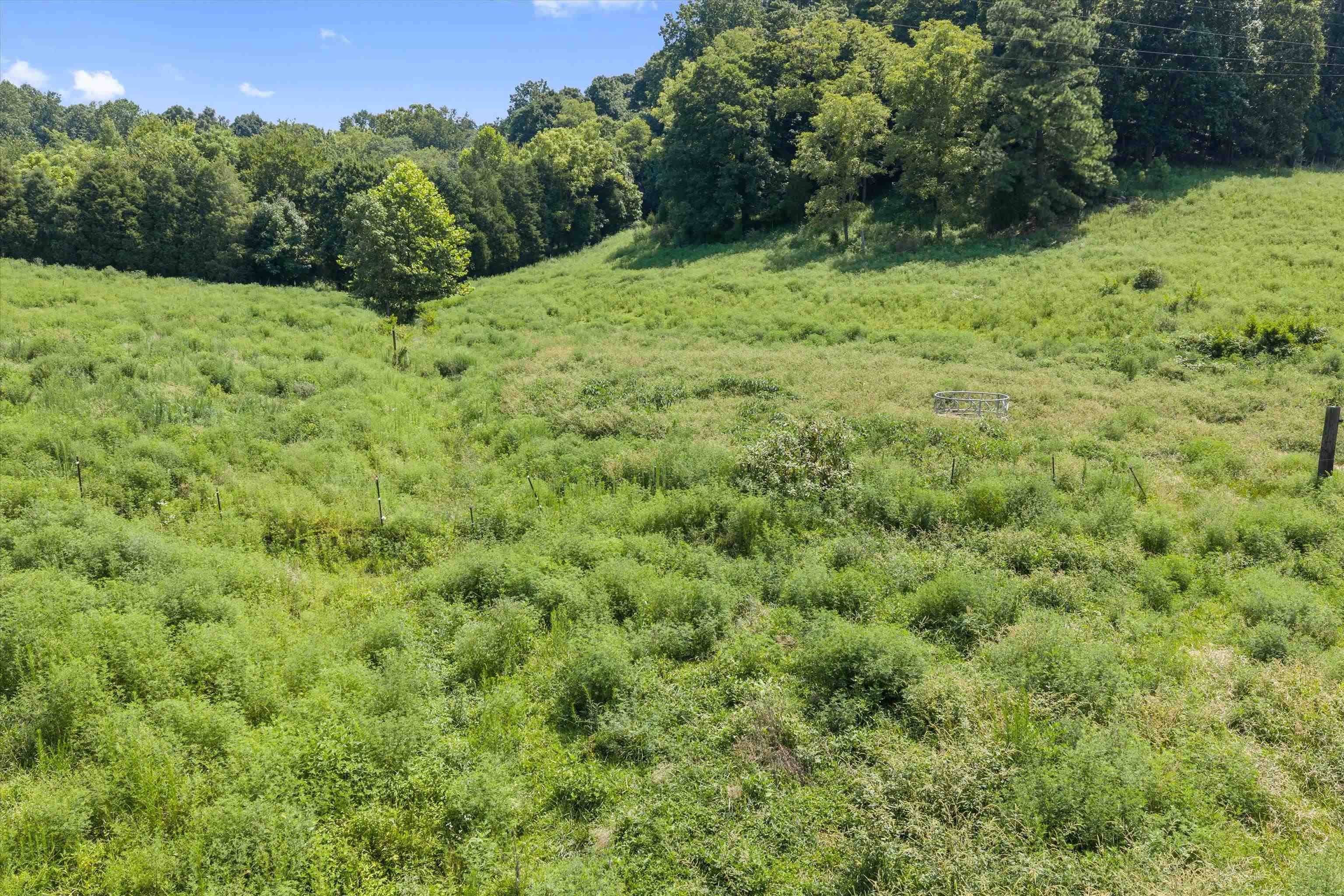 0 State Route 144 E, Hawesville, Kentucky 42348, ,Farm,For Sale,State Route 144 E,95480