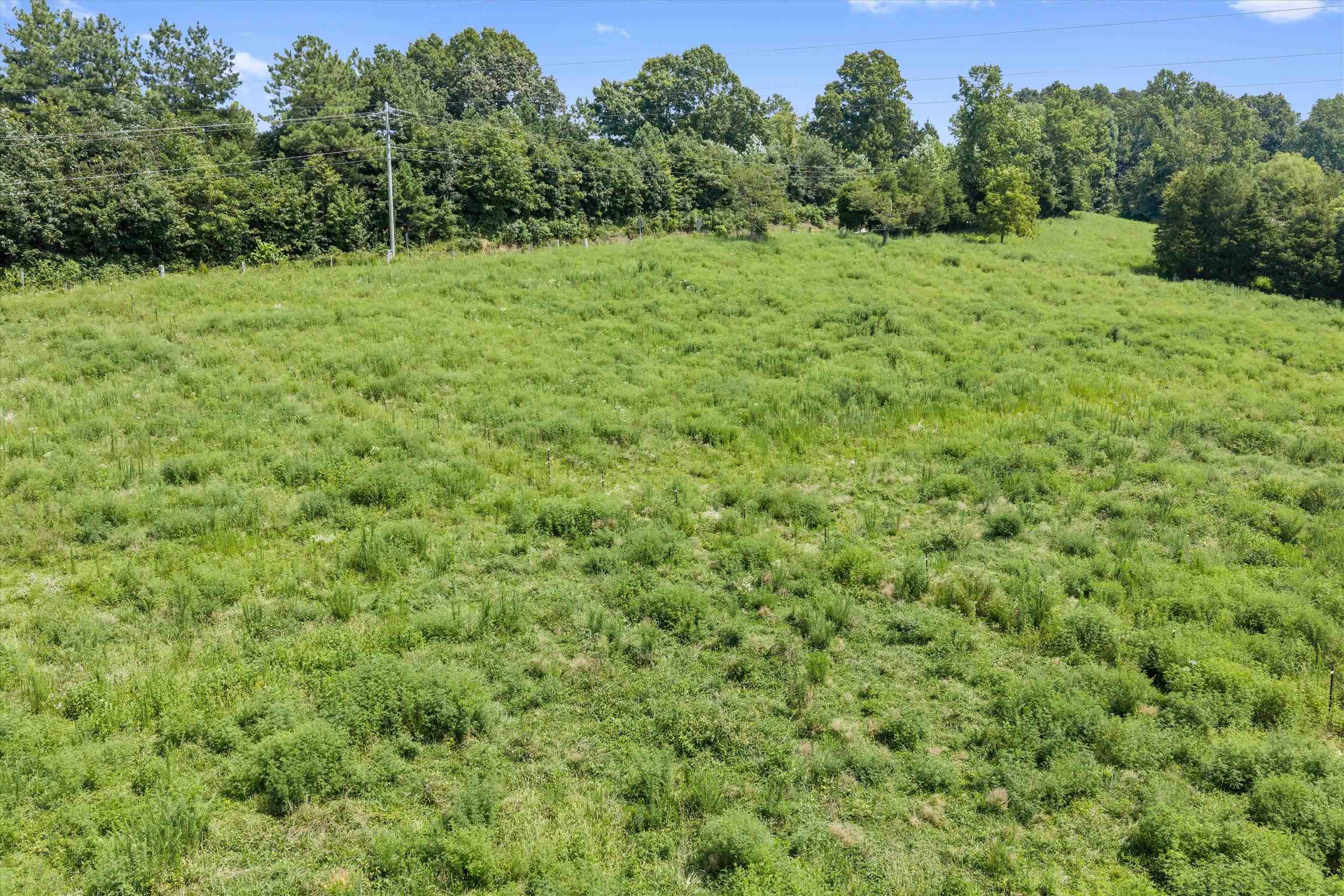 0 State Route 144 E, Hawesville, Kentucky 42348, ,Farm,For Sale,State Route 144 E,95480
