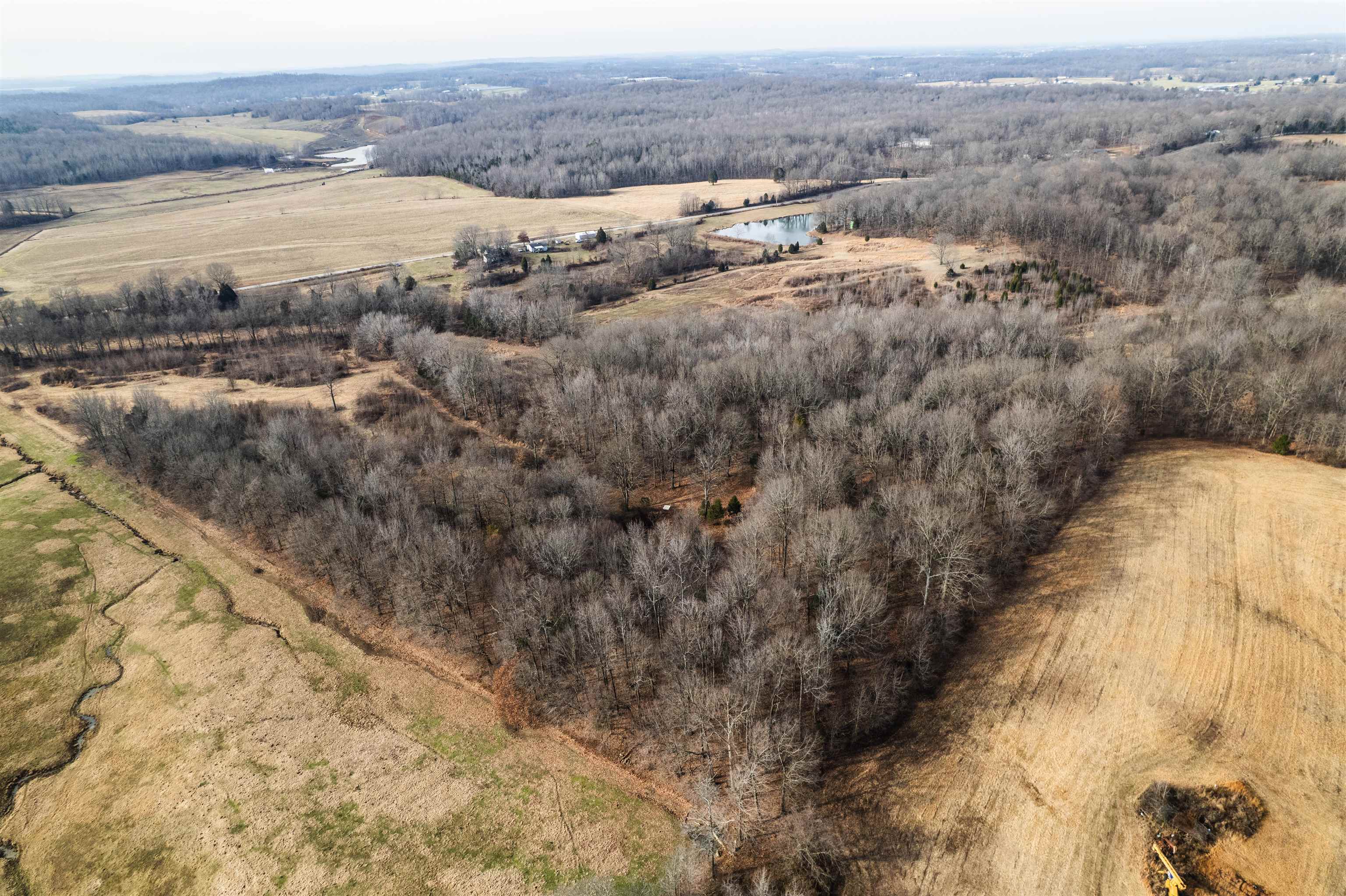 1875 Harmons Ferry Rd, Utica, Kentucky 42376, ,Land,For Sale,Harmons Ferry Rd,95558