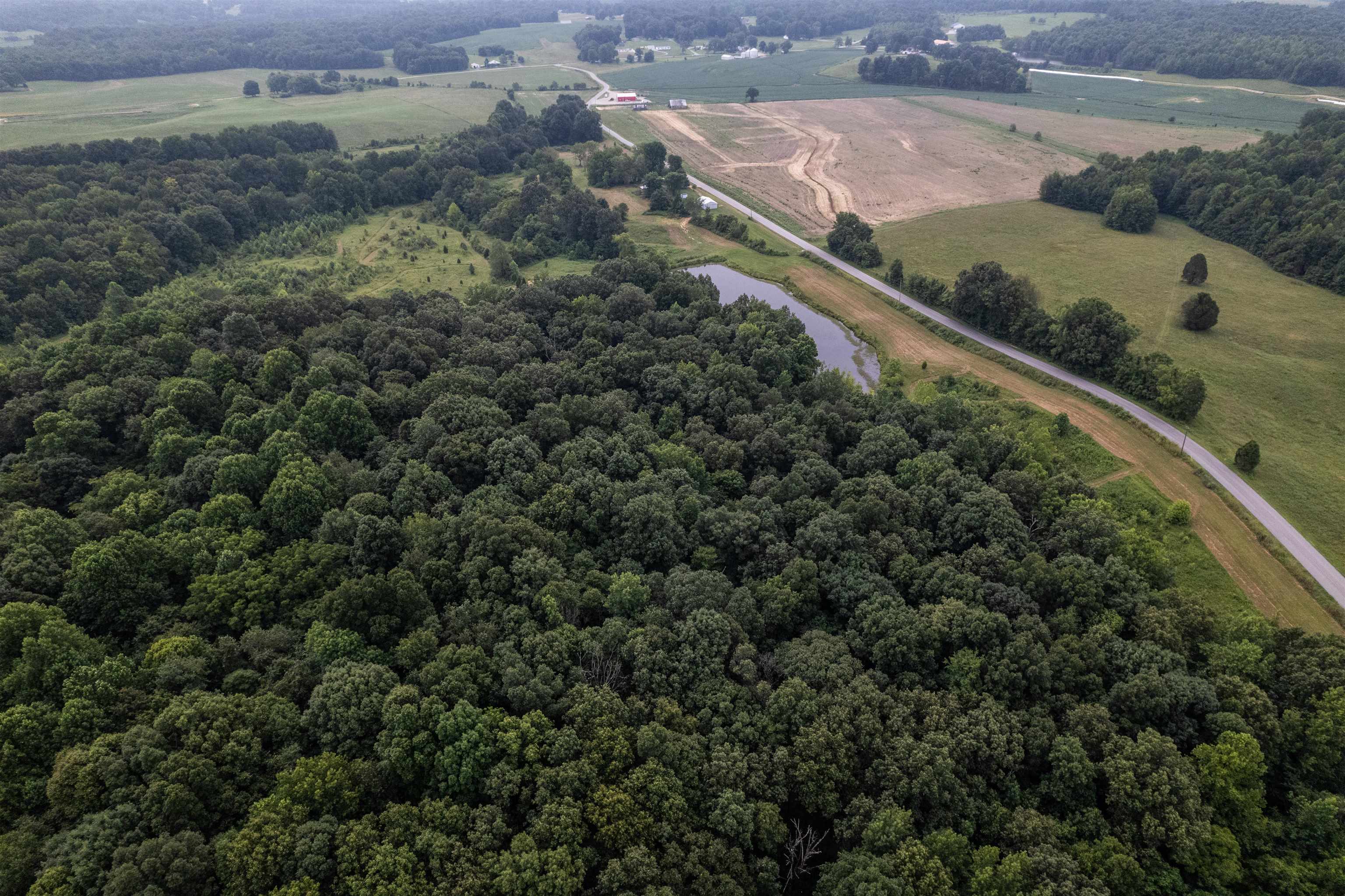 1875 Harmons Ferry Rd, Utica, Kentucky 42376, ,Land,For Sale,Harmons Ferry Rd,95558