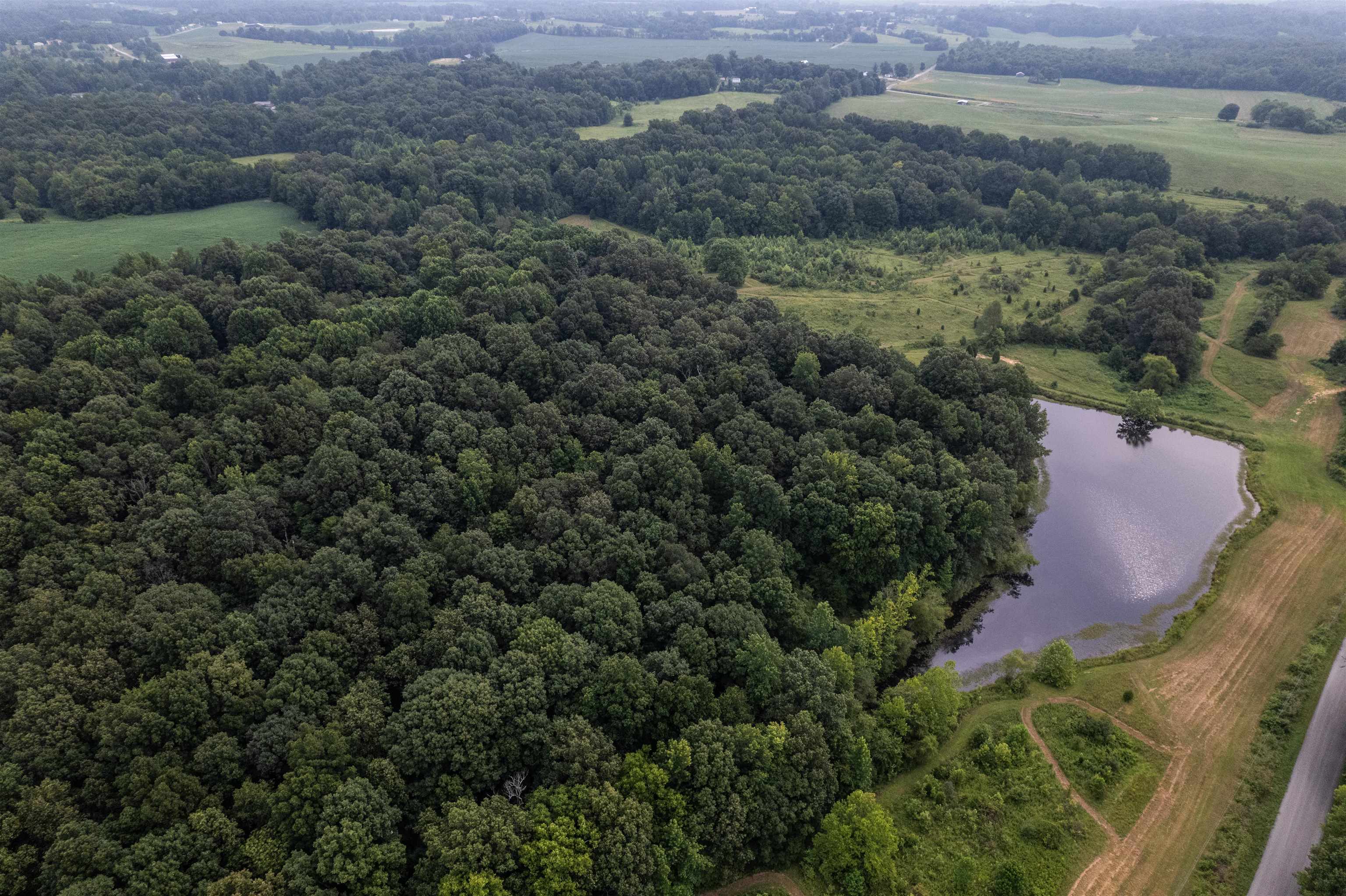 1875 Harmons Ferry Rd, Utica, Kentucky 42376, ,Land,For Sale,Harmons Ferry Rd,95558