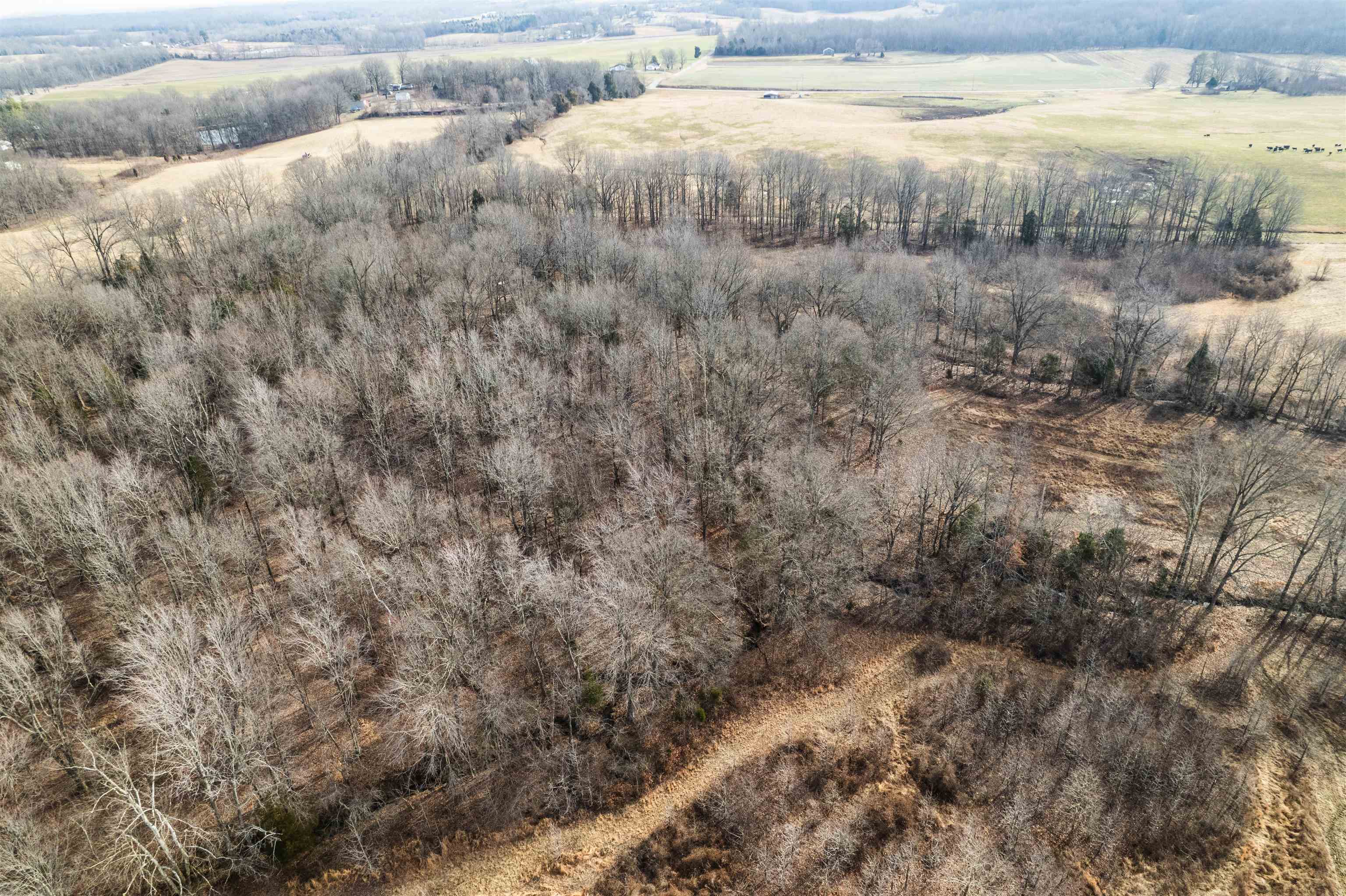 1875 Harmons Ferry Rd, Utica, Kentucky 42376, ,Land,For Sale,Harmons Ferry Rd,95558
