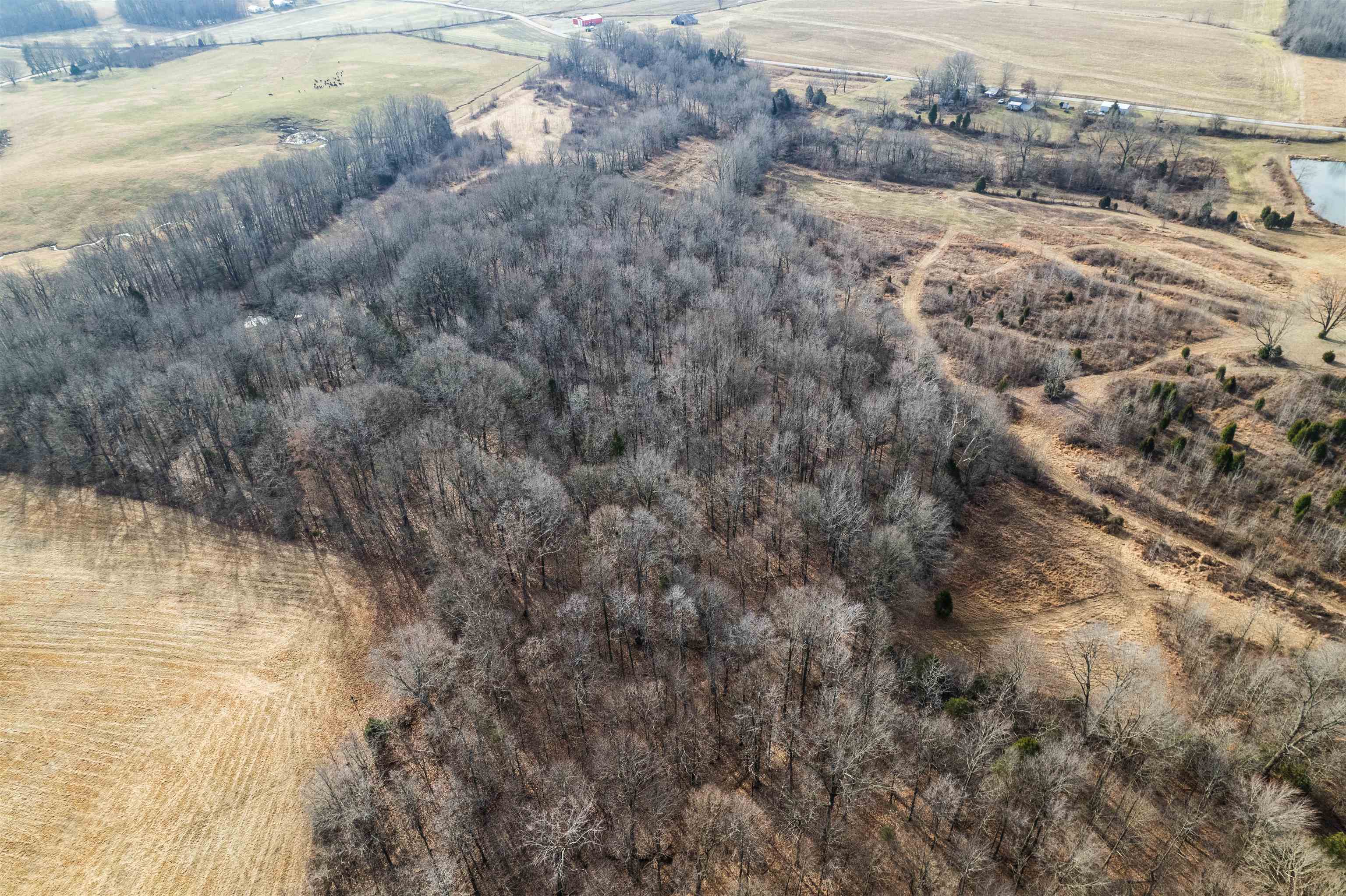 1875 Harmons Ferry Rd, Utica, Kentucky 42376, ,Land,For Sale,Harmons Ferry Rd,95558