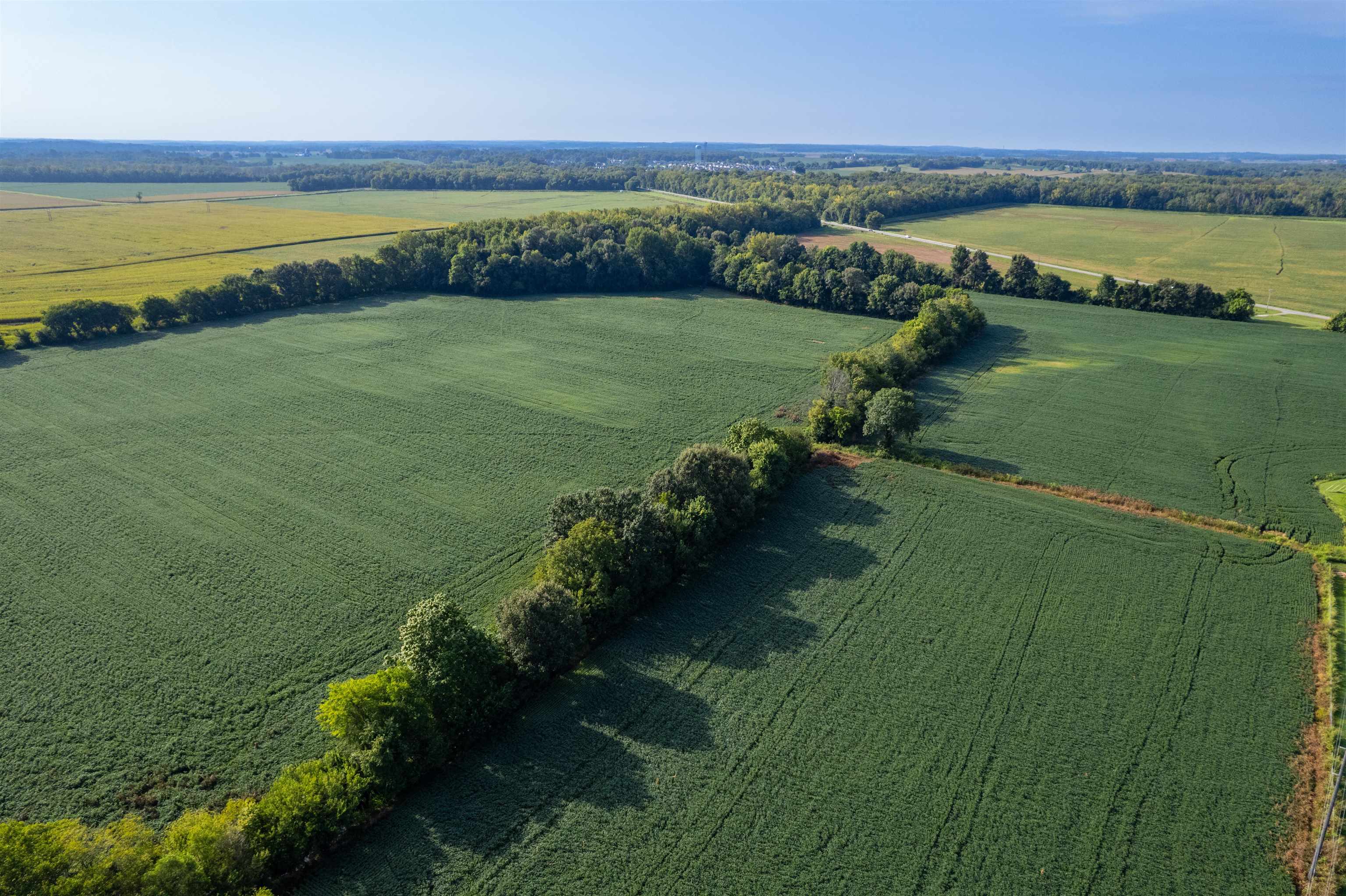 0000 Highway 231, Owensboro, Kentucky 42303, ,Farm,For Sale,Highway 231,95585