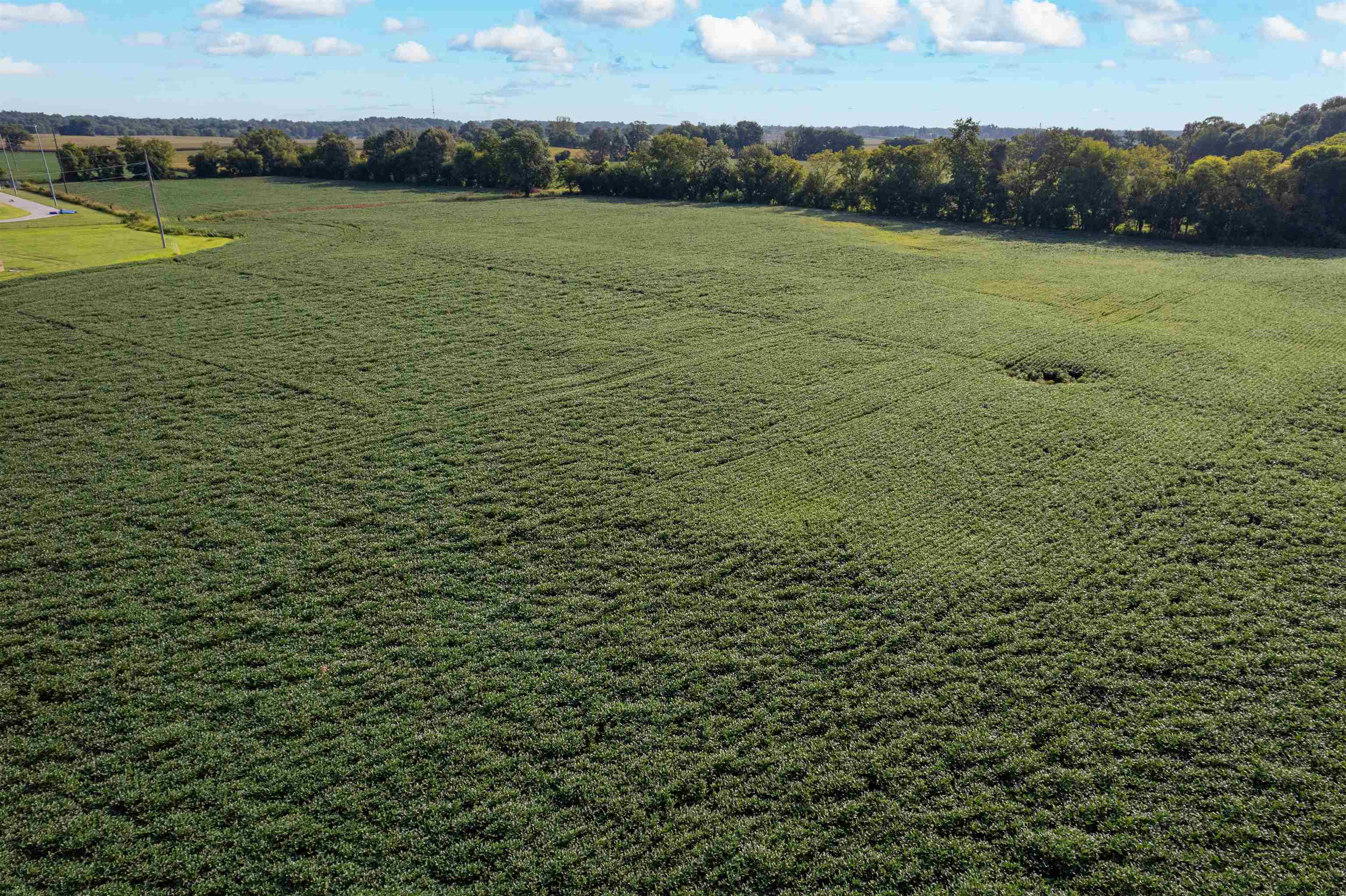 0000 Highway 231, Owensboro, Kentucky 42303, ,Farm,For Sale,Highway 231,95585