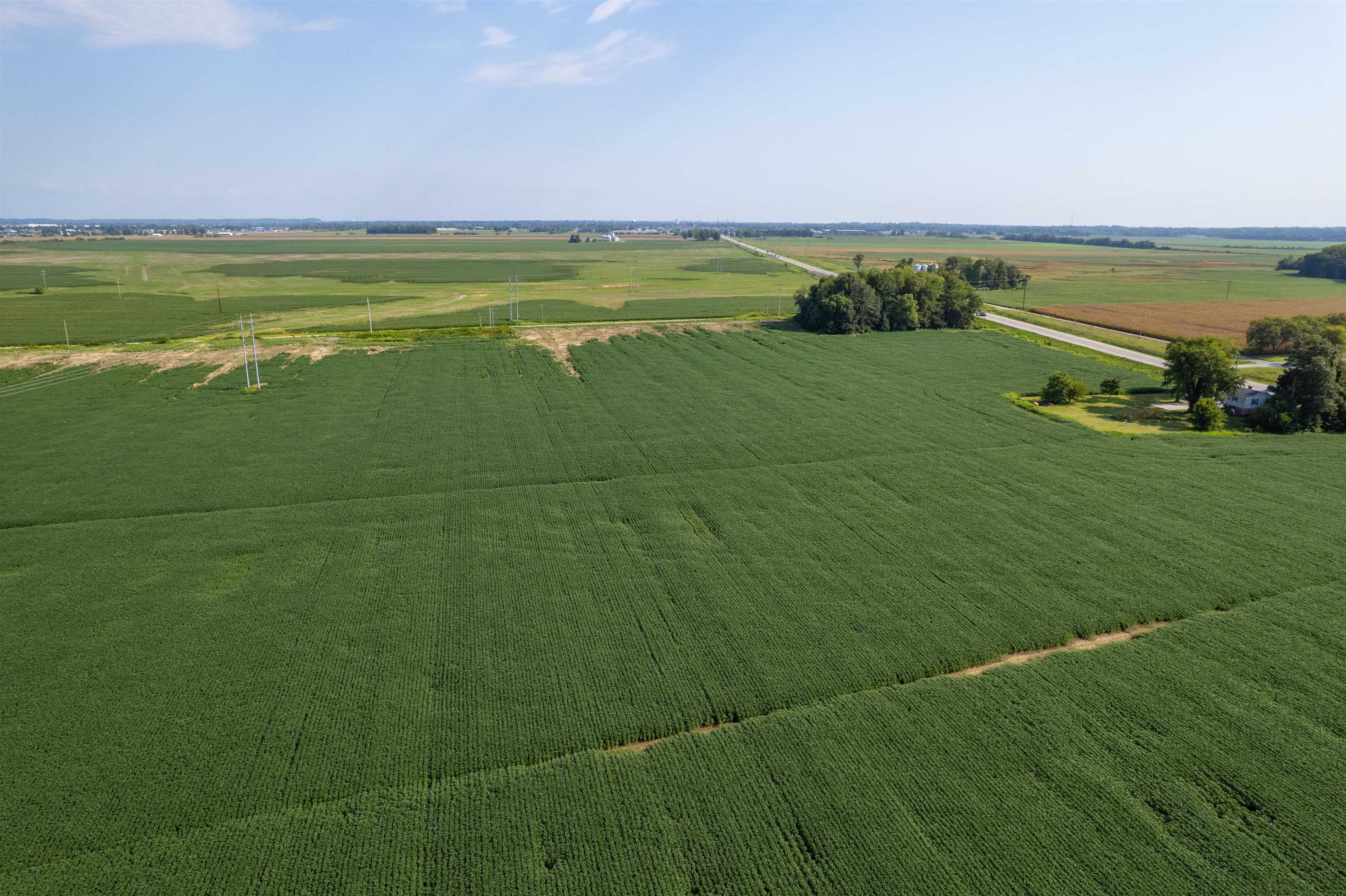 6520 Highway 431, Utica, Kentucky 42376, ,Farm,For Sale,Highway 431,95586