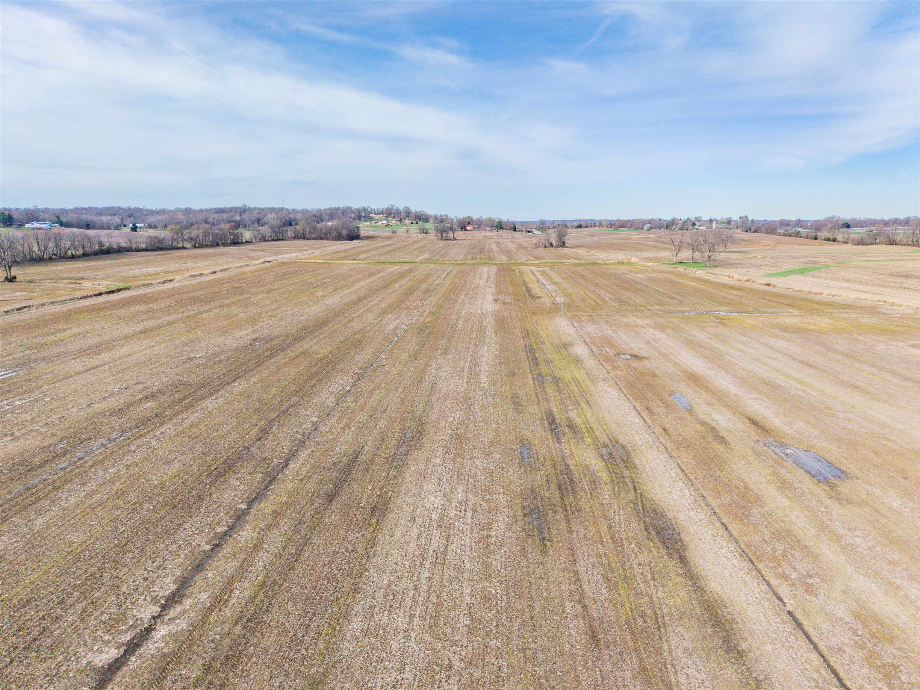 0000 Highway 762, Philpot, Kentucky 42366, ,Farm,For Sale,Highway 762,95587