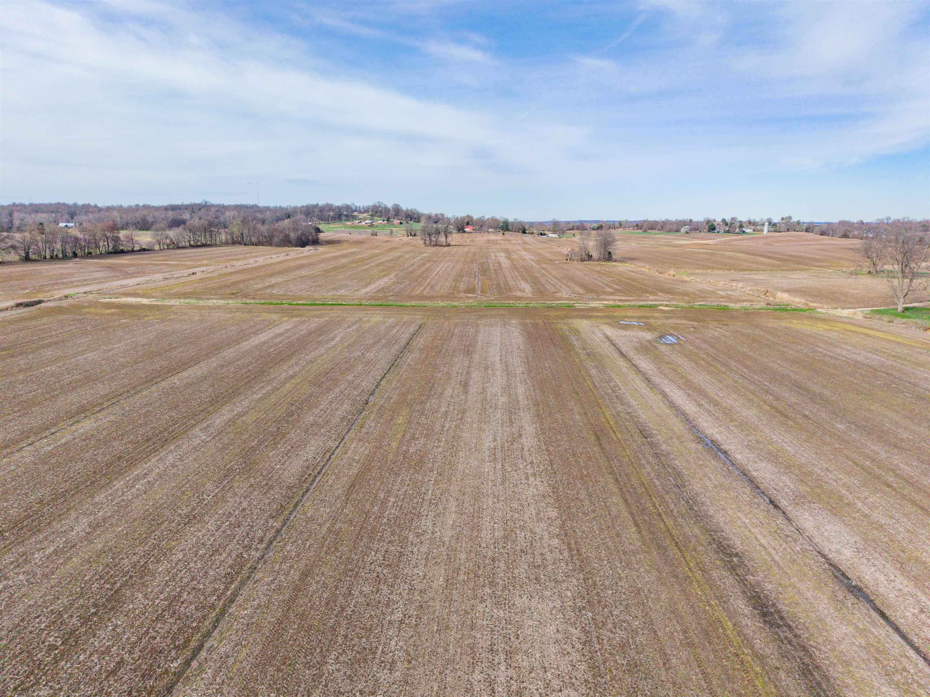 0000 Highway 762, Philpot, Kentucky 42366, ,Farm,For Sale,Highway 762,95587