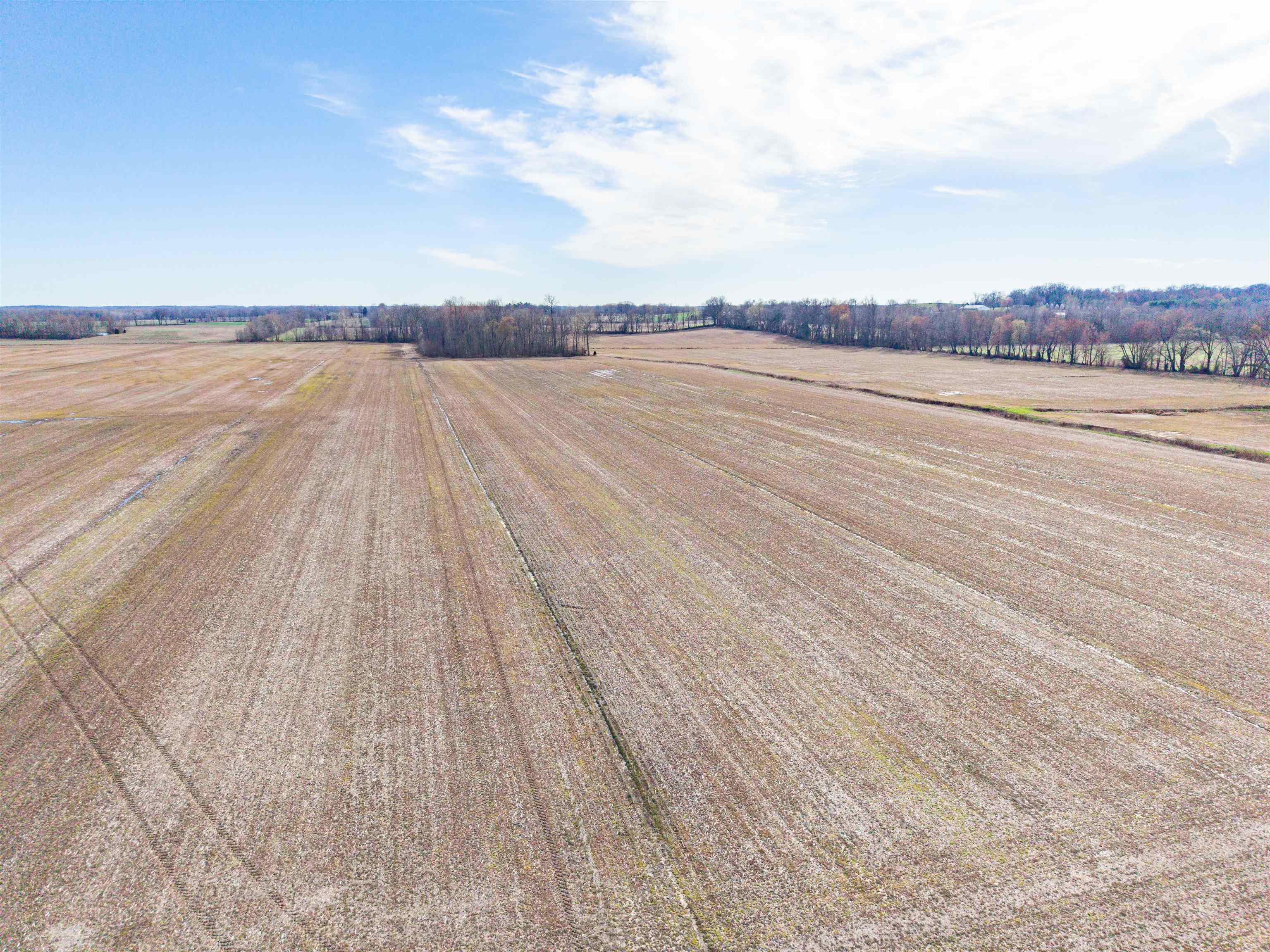 0000 Highway 762, Philpot, Kentucky 42366, ,Farm,For Sale,Highway 762,95587