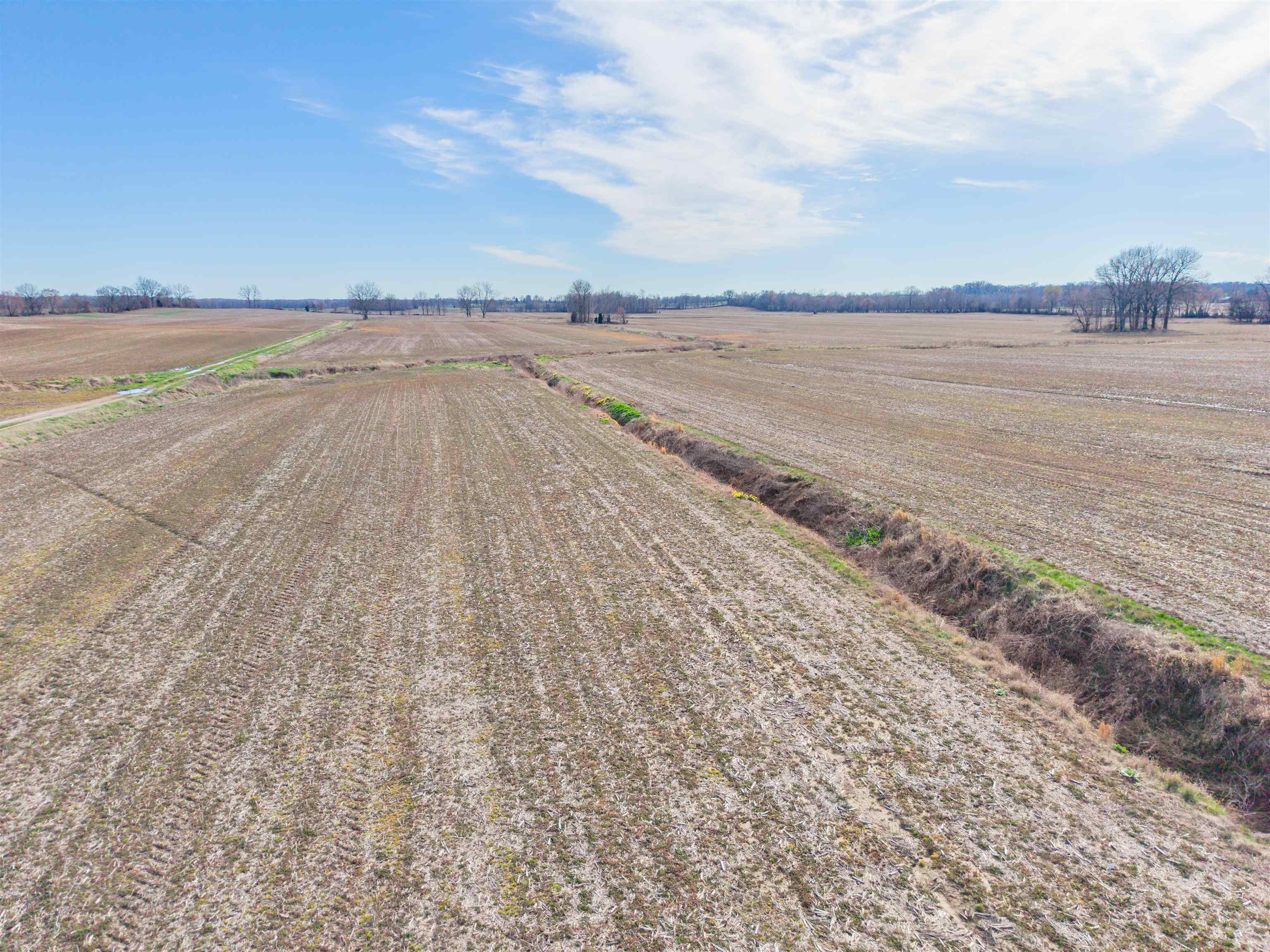 0000 Highway 762, Philpot, Kentucky 42366, ,Farm,For Sale,Highway 762,95587