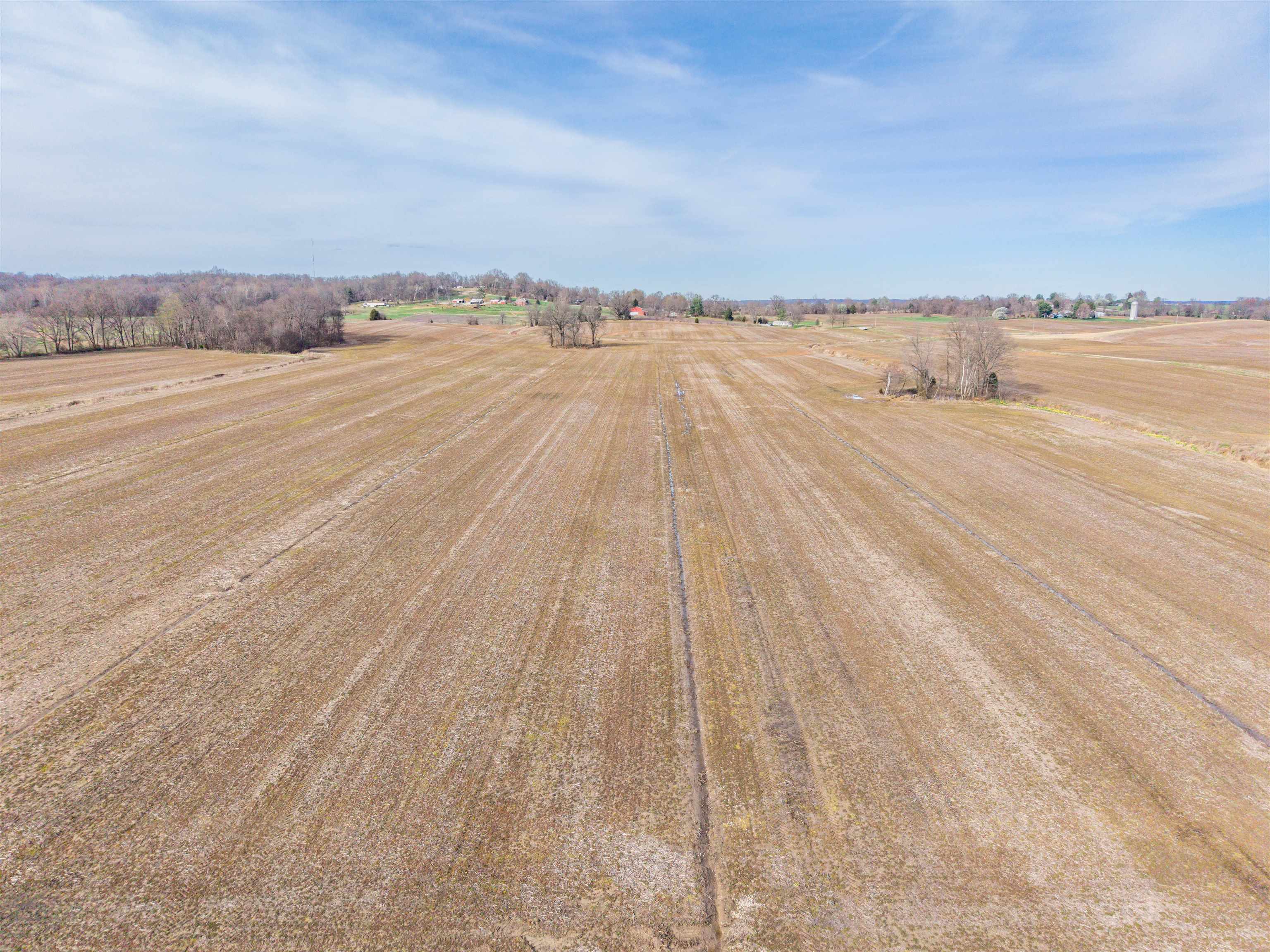 0000 Highway 762, Philpot, Kentucky 42366, ,Farm,For Sale,Highway 762,95587